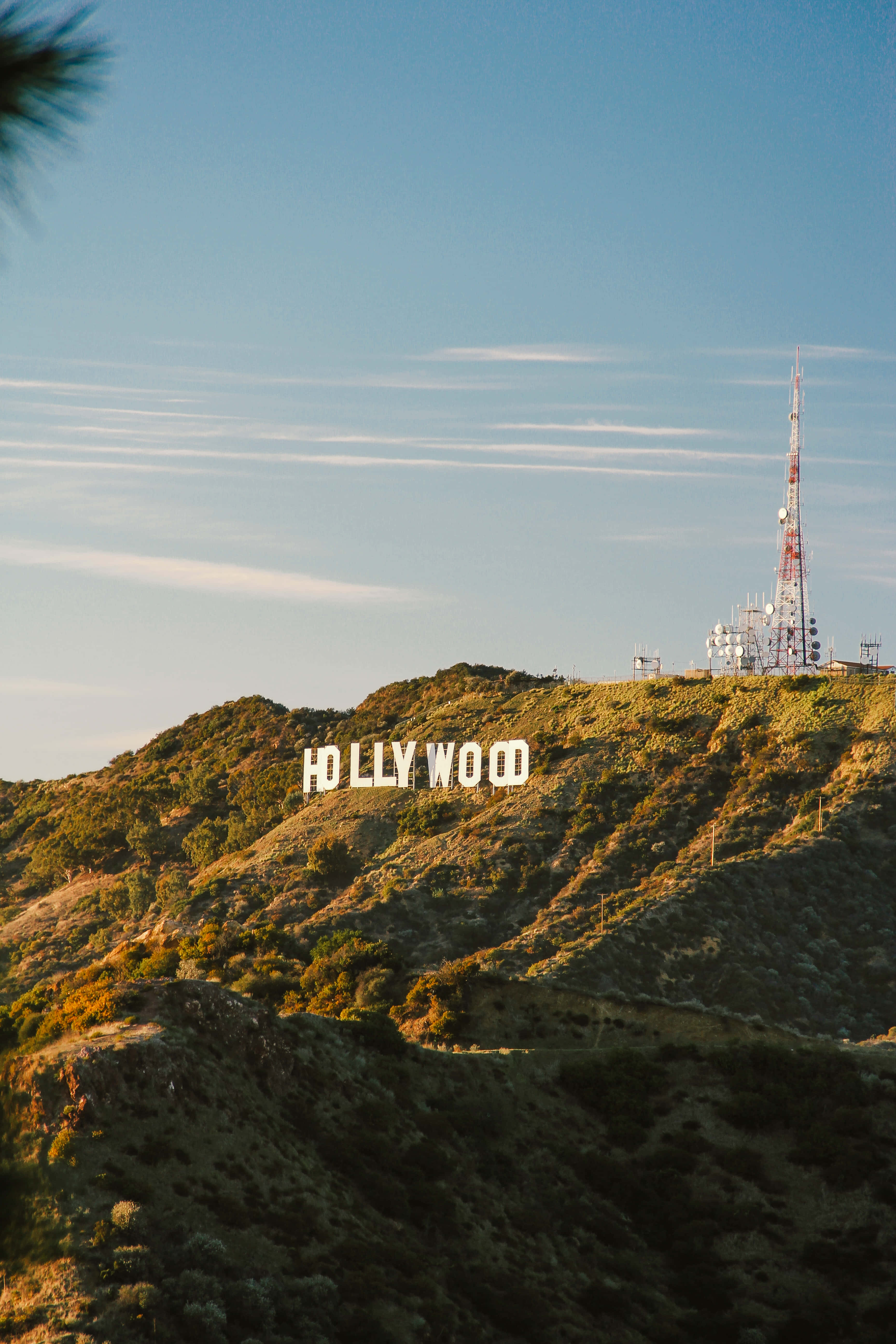 Gün Batımında Hollywood Arka Plan Tabelası Duvar Kağıdı