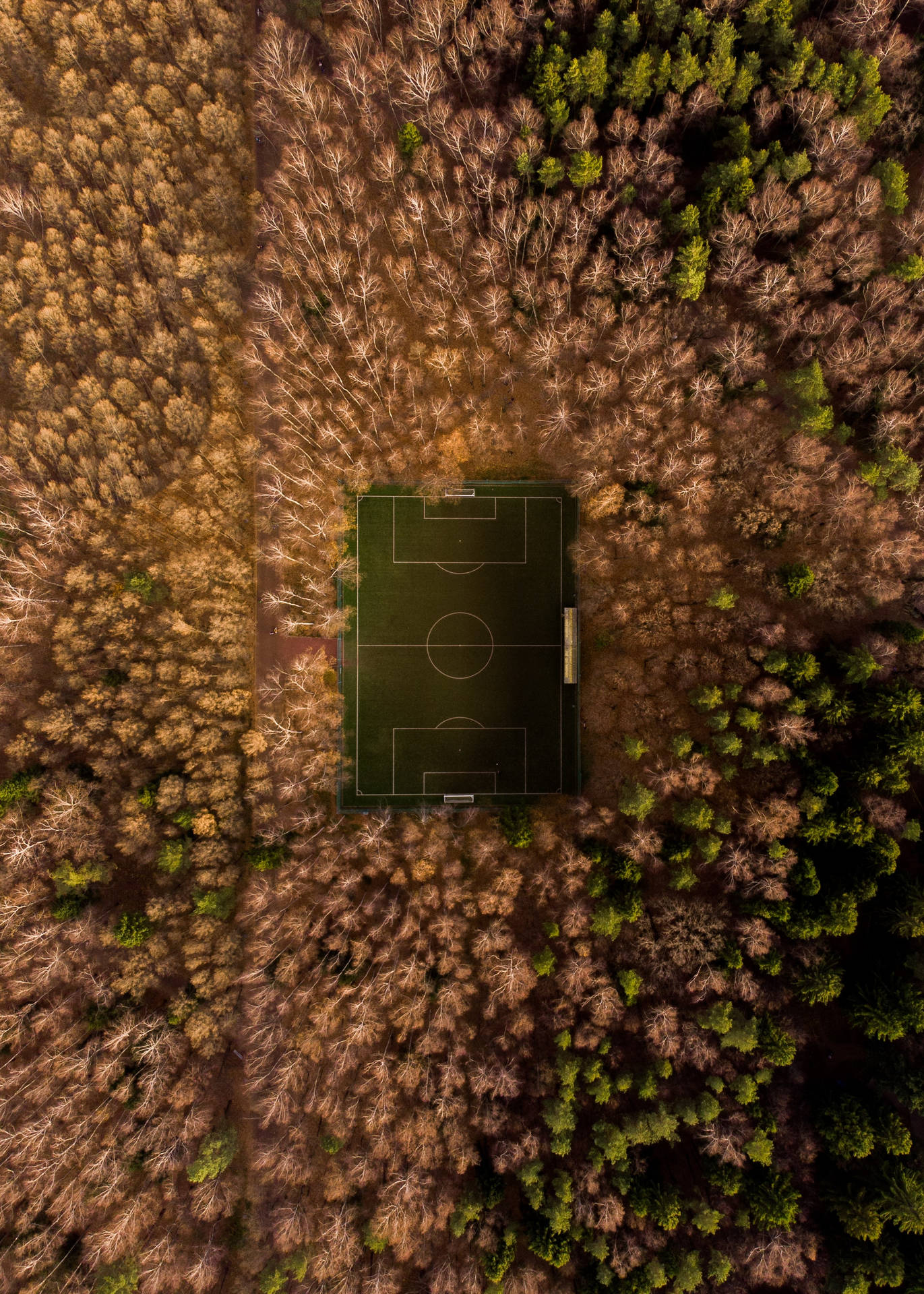 Ağaçlarla çevrili futbol sahası havadan görünüm duvar kağıdı.