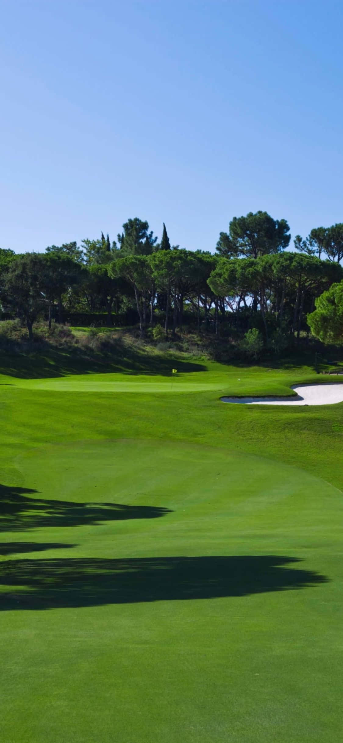 Güzel Bir Golf Sahasında Bir Tur Daha Zamanı Duvar Kağıdı