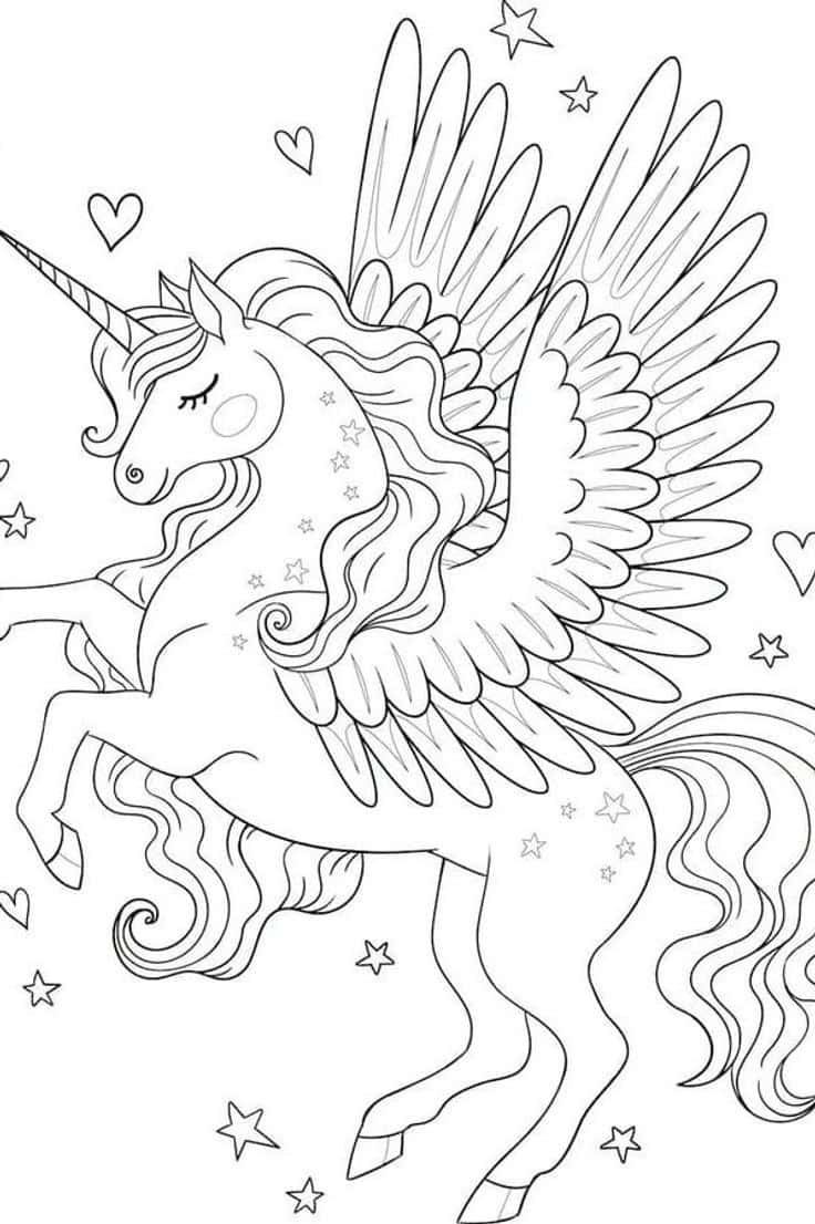 Güzel Kanatlı Unicorn Boyama Resmi Duvar Kağıdı