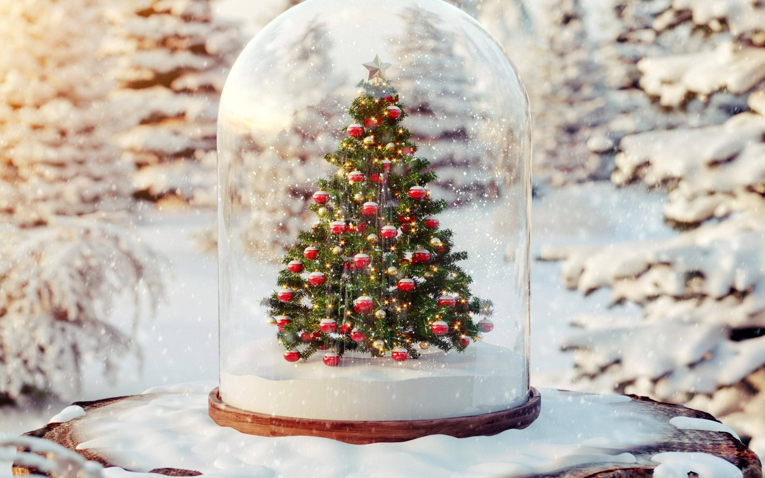 Güzel Noel Kar Küresi Duvar Kağıdı