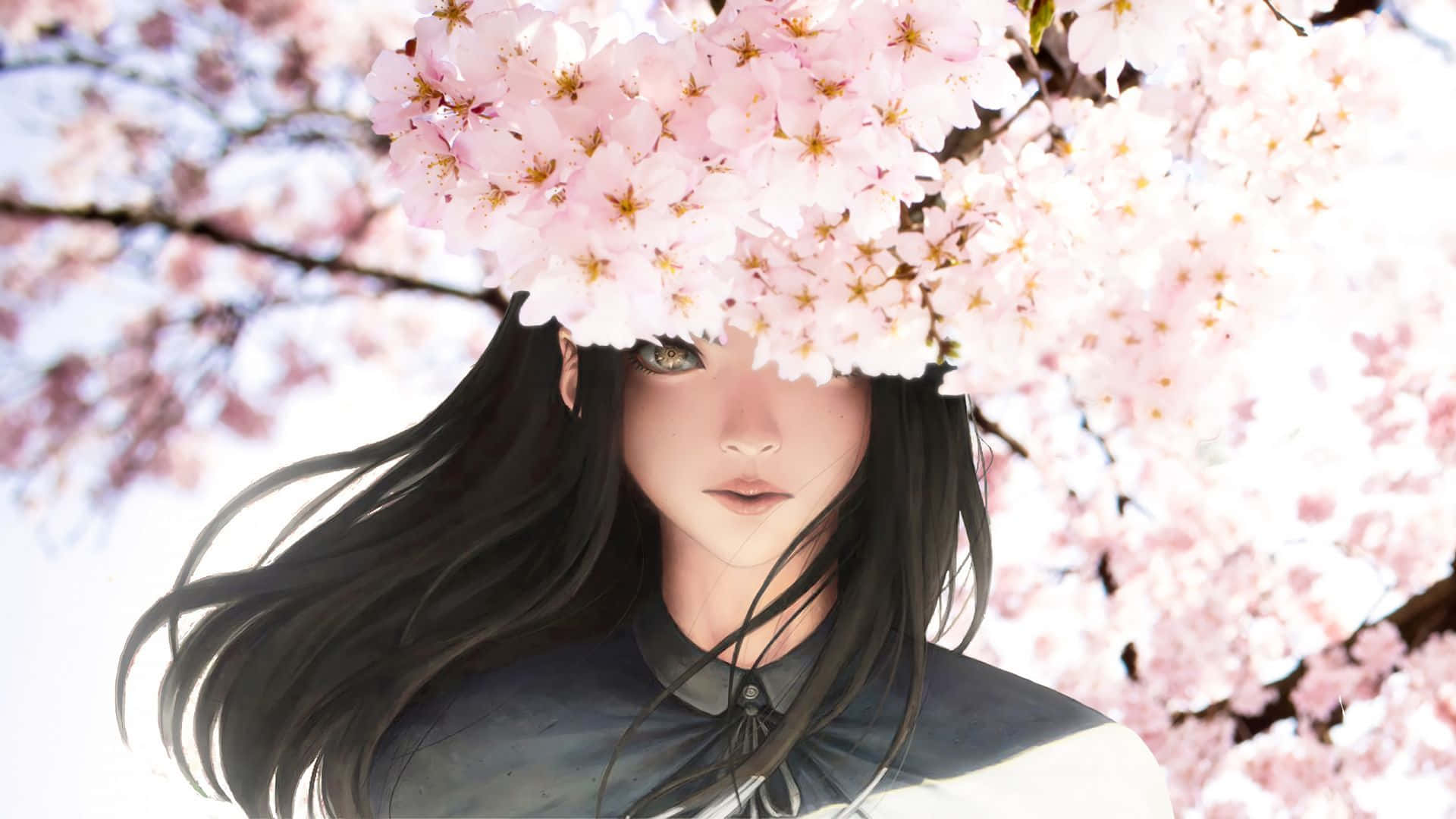 Güzel Siyah Saçlı Kız ve Sakura Anime Çiçekleri Duvar Kağıdı