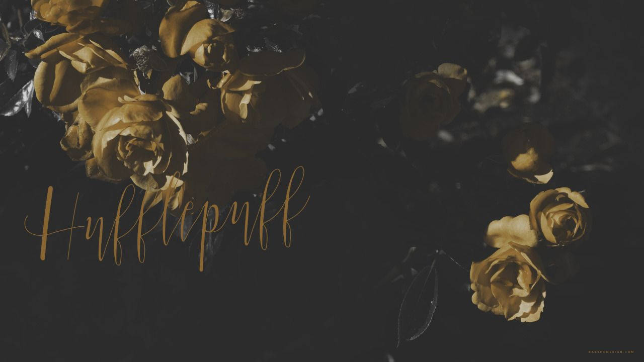 Harry Potter Estetik Hufflepuff Duvar Kağıdı