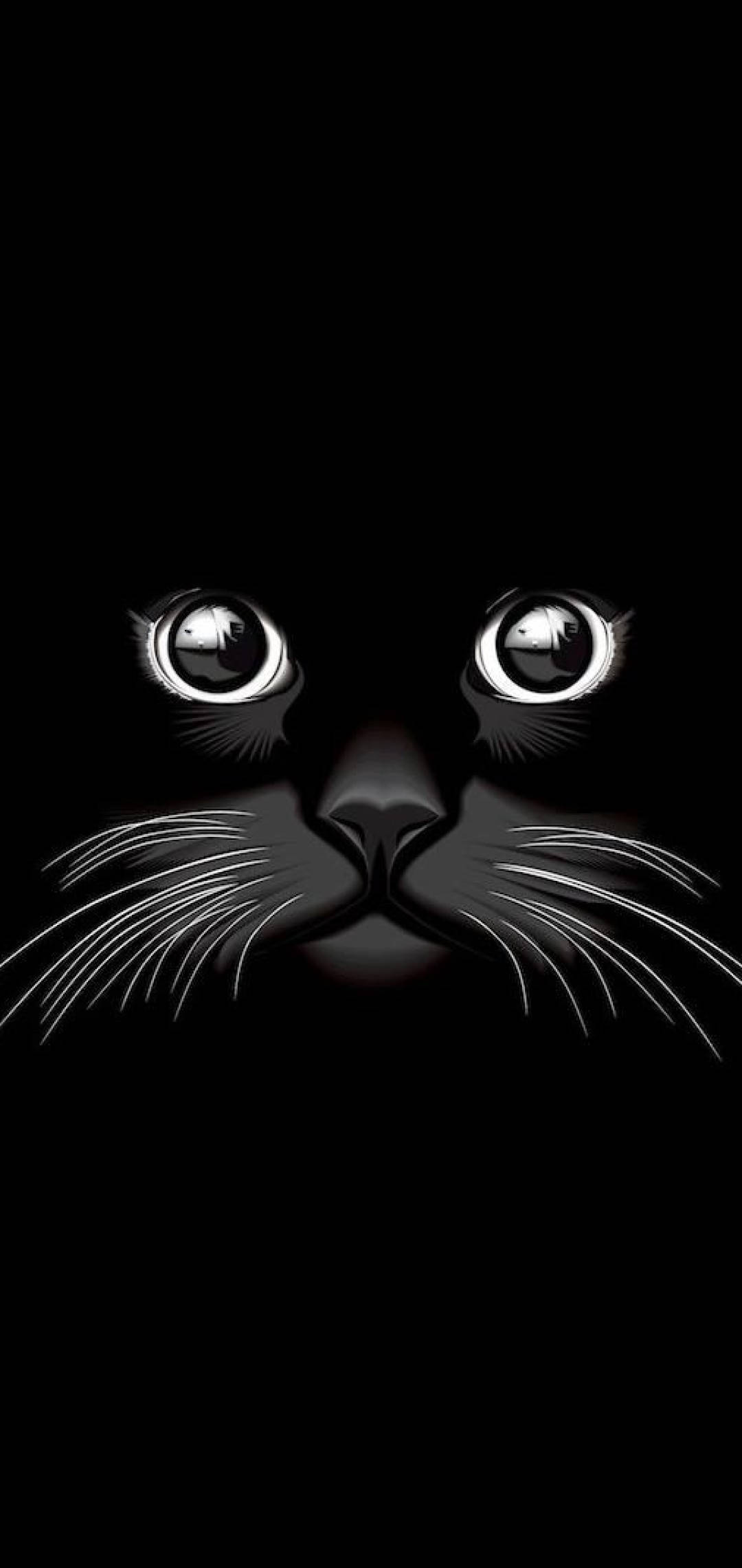 Havalı Siyah Kedi Duvar Kağıdı