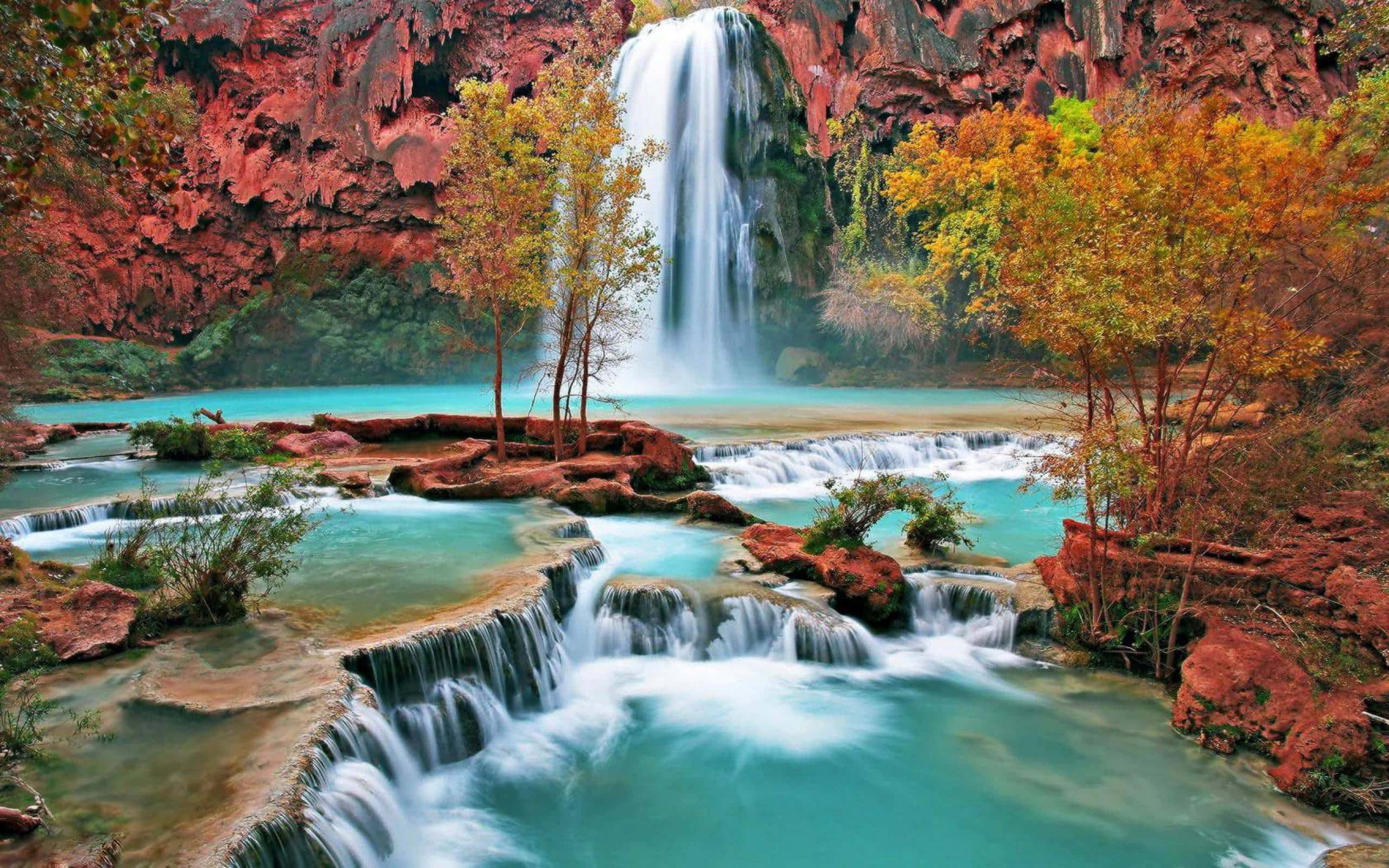Havasu Şelalesi Masaüstü Arizona Duvar Kağıdı