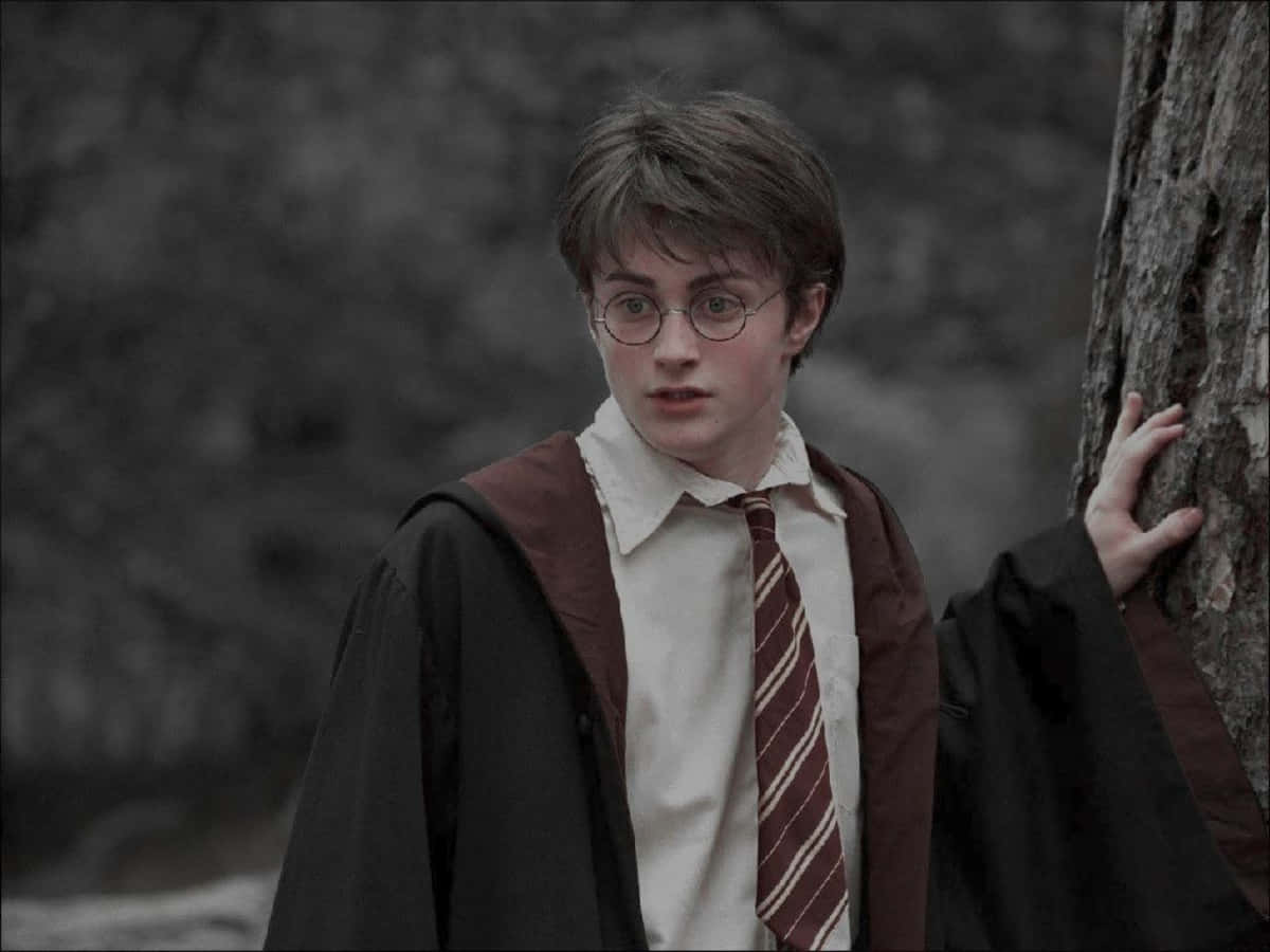 "Hayal gücünüzün Harry Potter'ın büyülü dünyasında dolaşmasına izin verin." Duvar Kağıdı