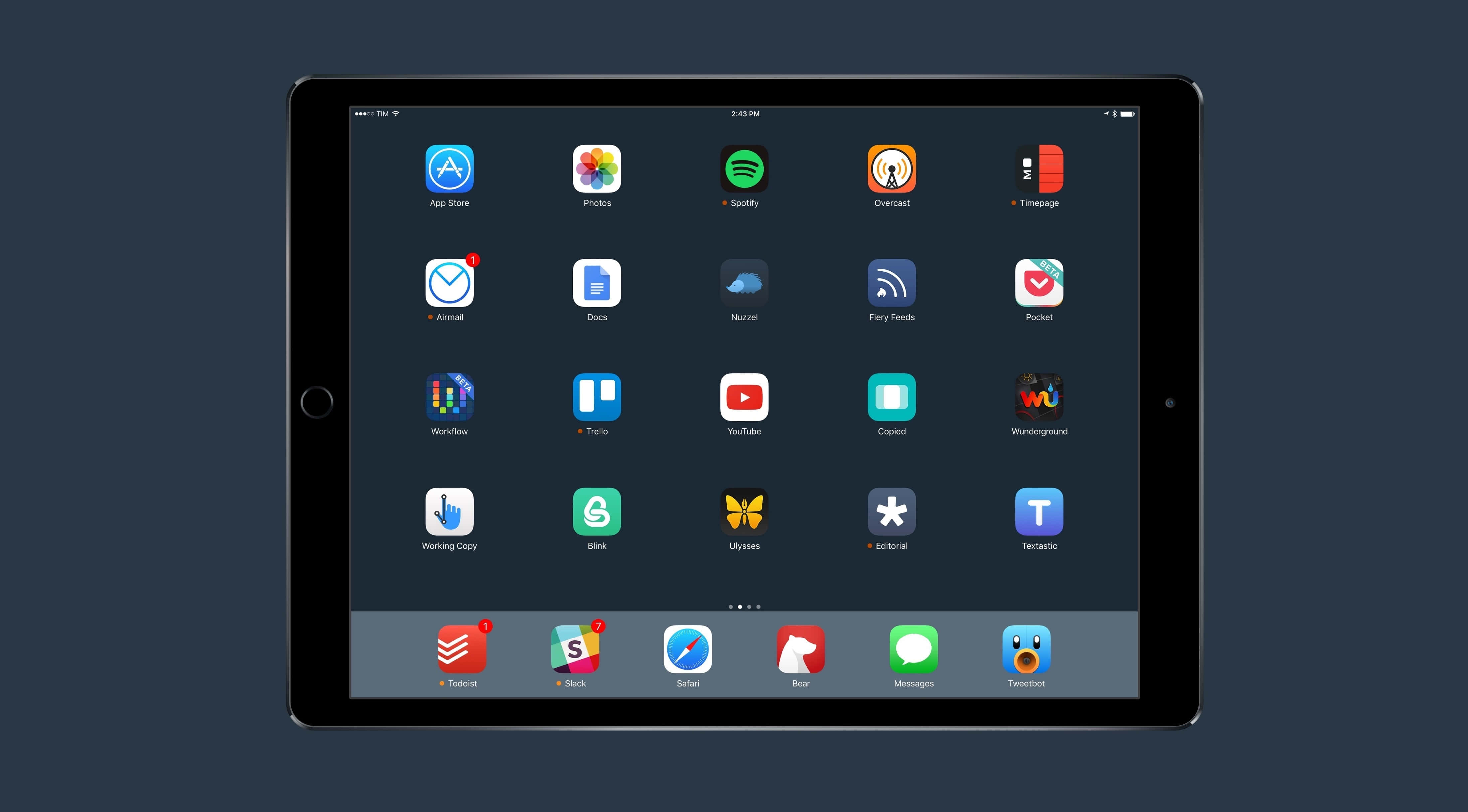 Hayatın Tadını iPad ile Çıkarmak Duvar Kağıdı