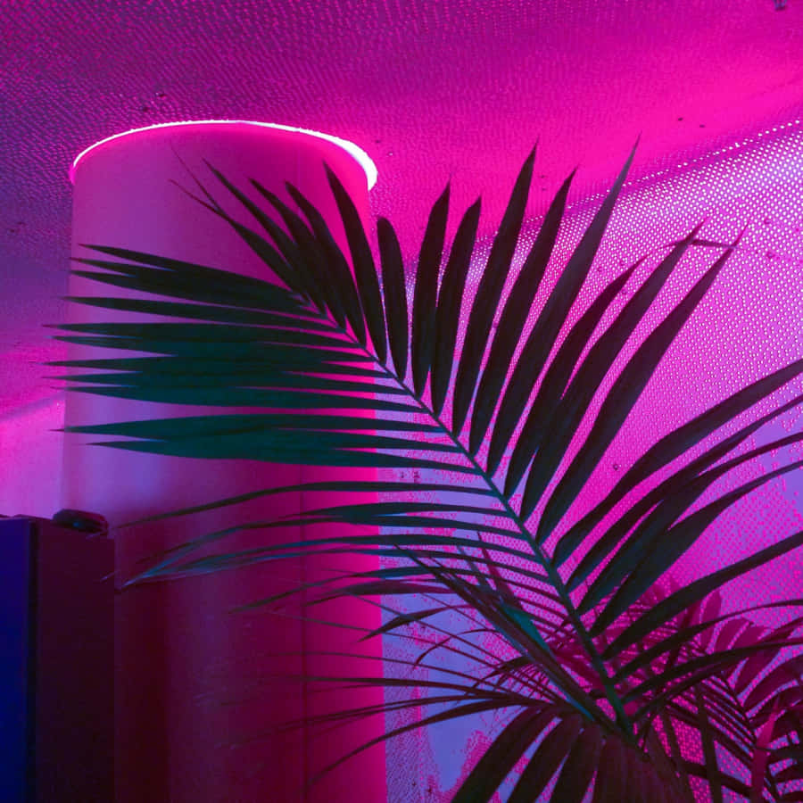 Hayatınızı Bu Işıltılı Neon Pembe Estetiğiyle Aydınlatın Duvar Kağıdı