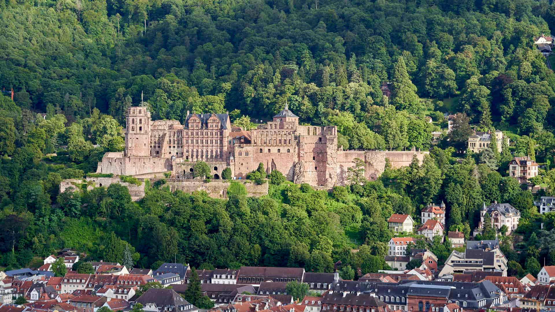 Heidelberg Kalesi Çevresindeki Orman Duvar Kağıdı
