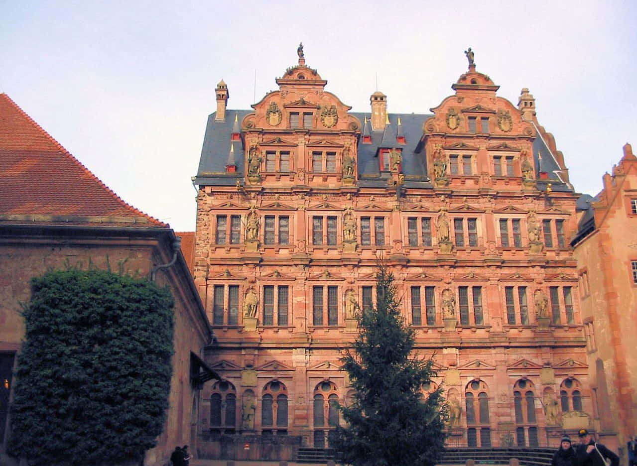 Heidelberg Şatosu'nun Kurbağa Bakışı Duvar Kağıdı