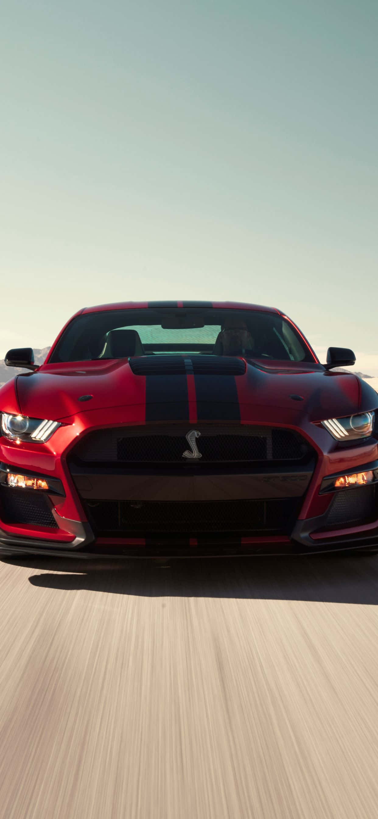 Her hayran için mükemmel, şık bir Mustang iPhone Duvar Kağıdı