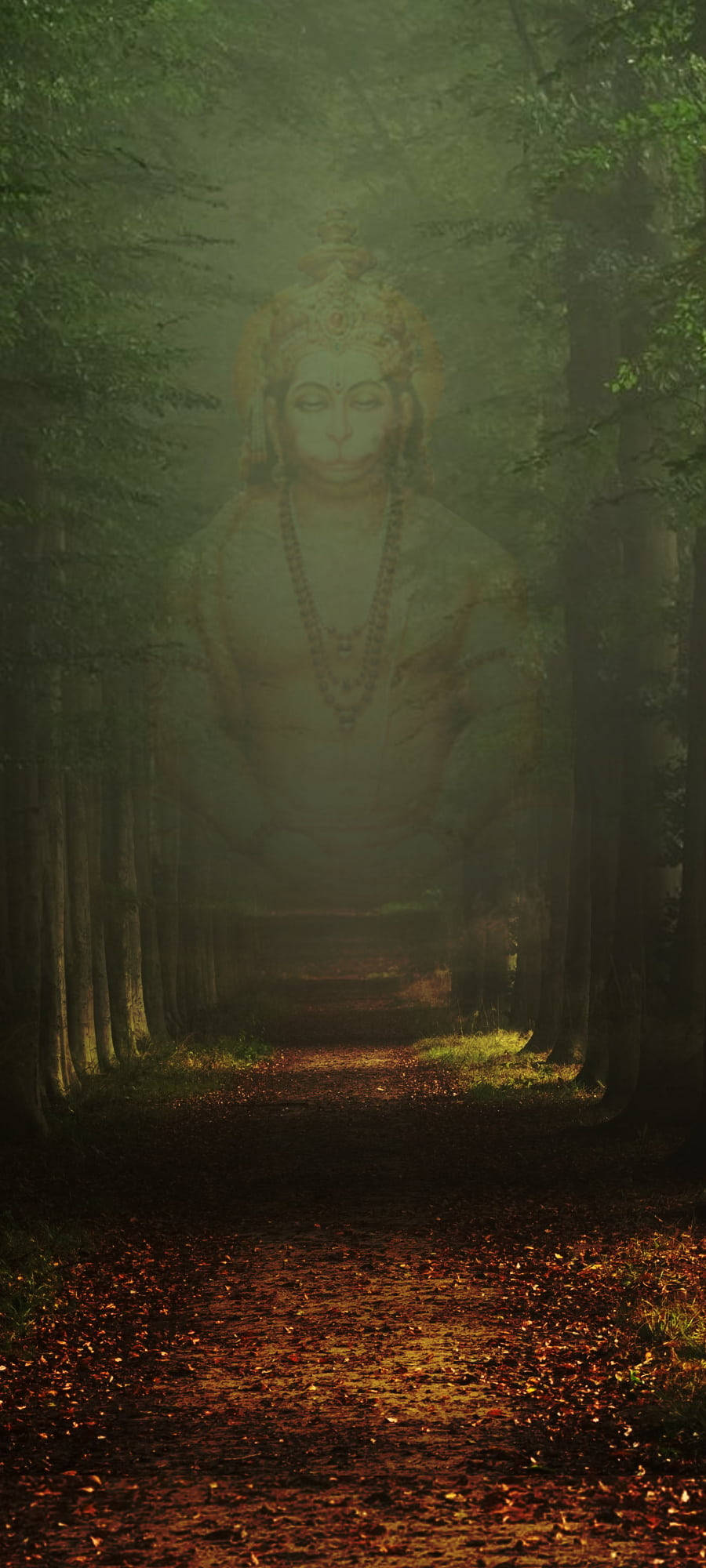Hindu Tanrısı Hanuman Görünümü Duvar Kağıdı