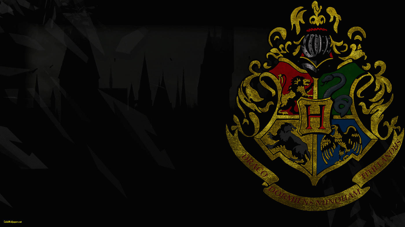 Hogwarts Evleri ve Kampüs Silüeti Harry Potter iPad Duvar Kağıdı