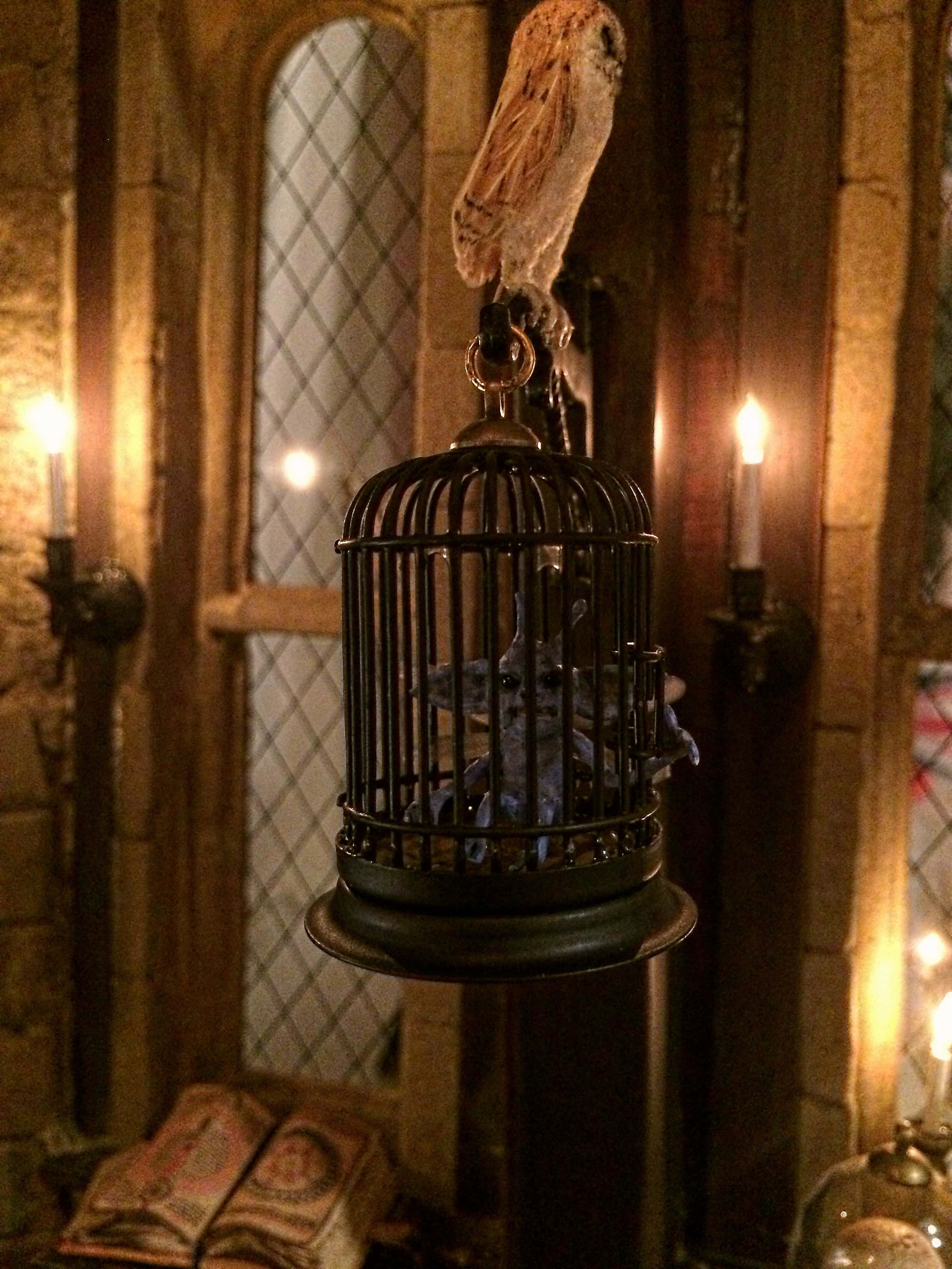 Hogwarts Karanlık Sanatlar sınıfının gizemli turuna çıkın Duvar Kağıdı