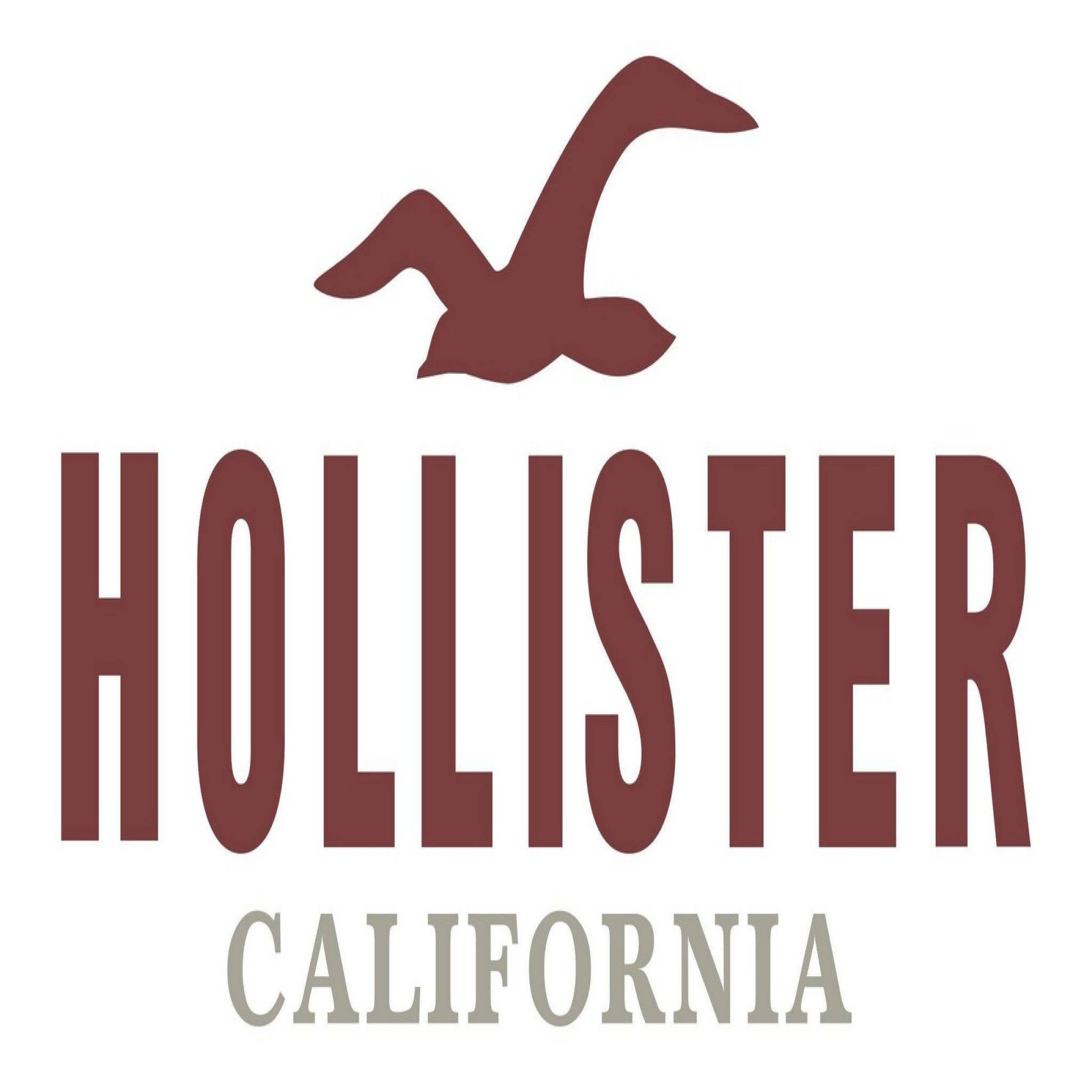 Hollister Klasik Logosu Duvar Kağıdı