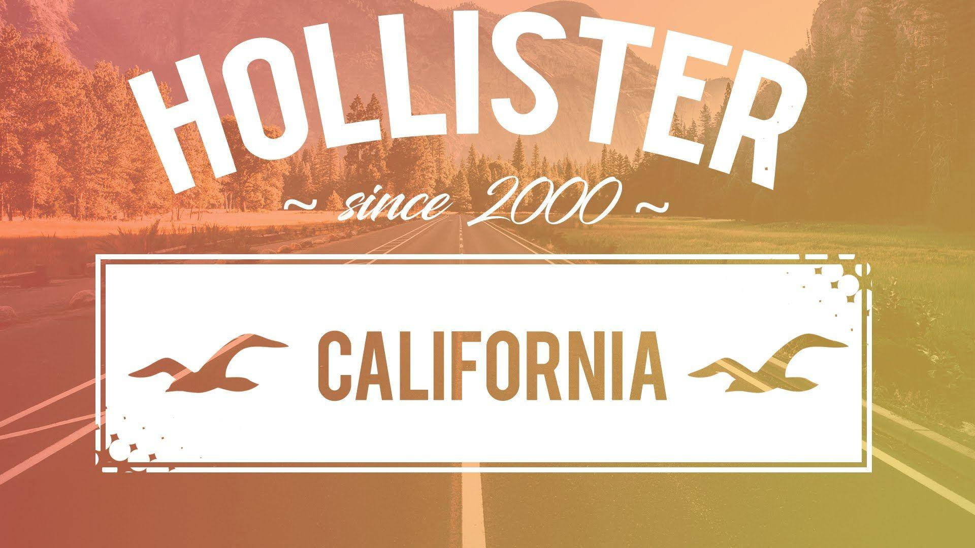 Hollister Since 2000 California Duvar Kağıdı