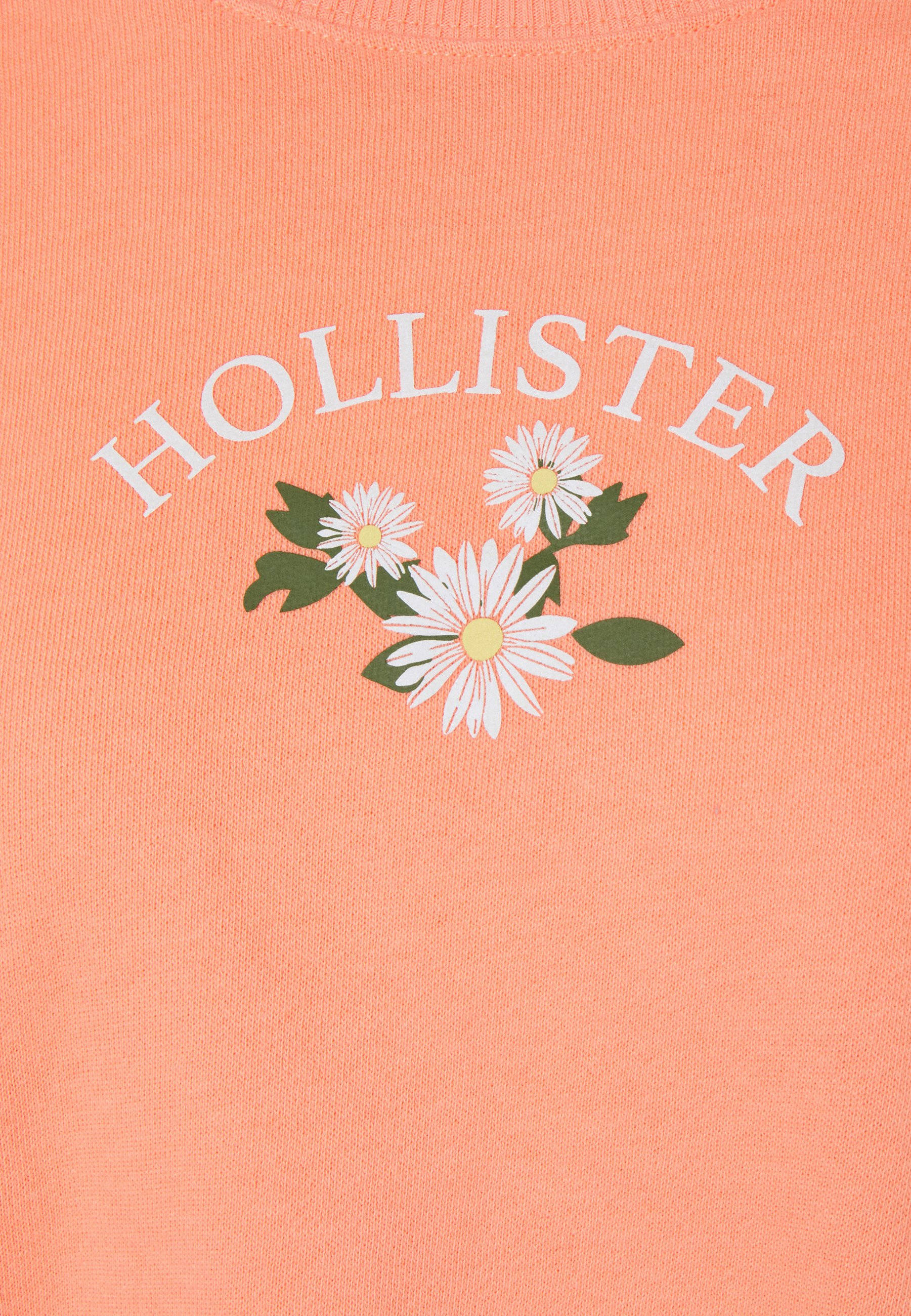 Hollister Üç Beyaz Çiçek Çizimi Duvar Kağıdı