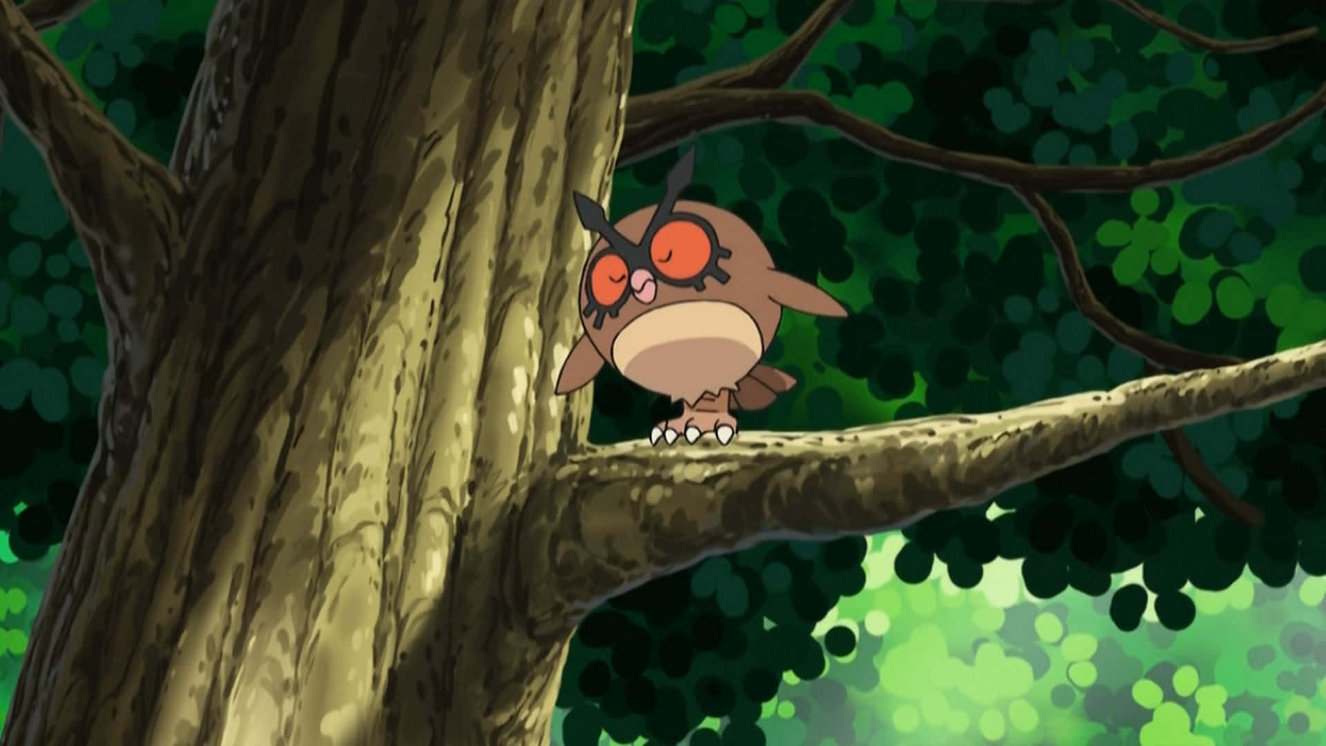 Hoothoot Ağaç Dalında Tünemiş Duvar Kağıdı
