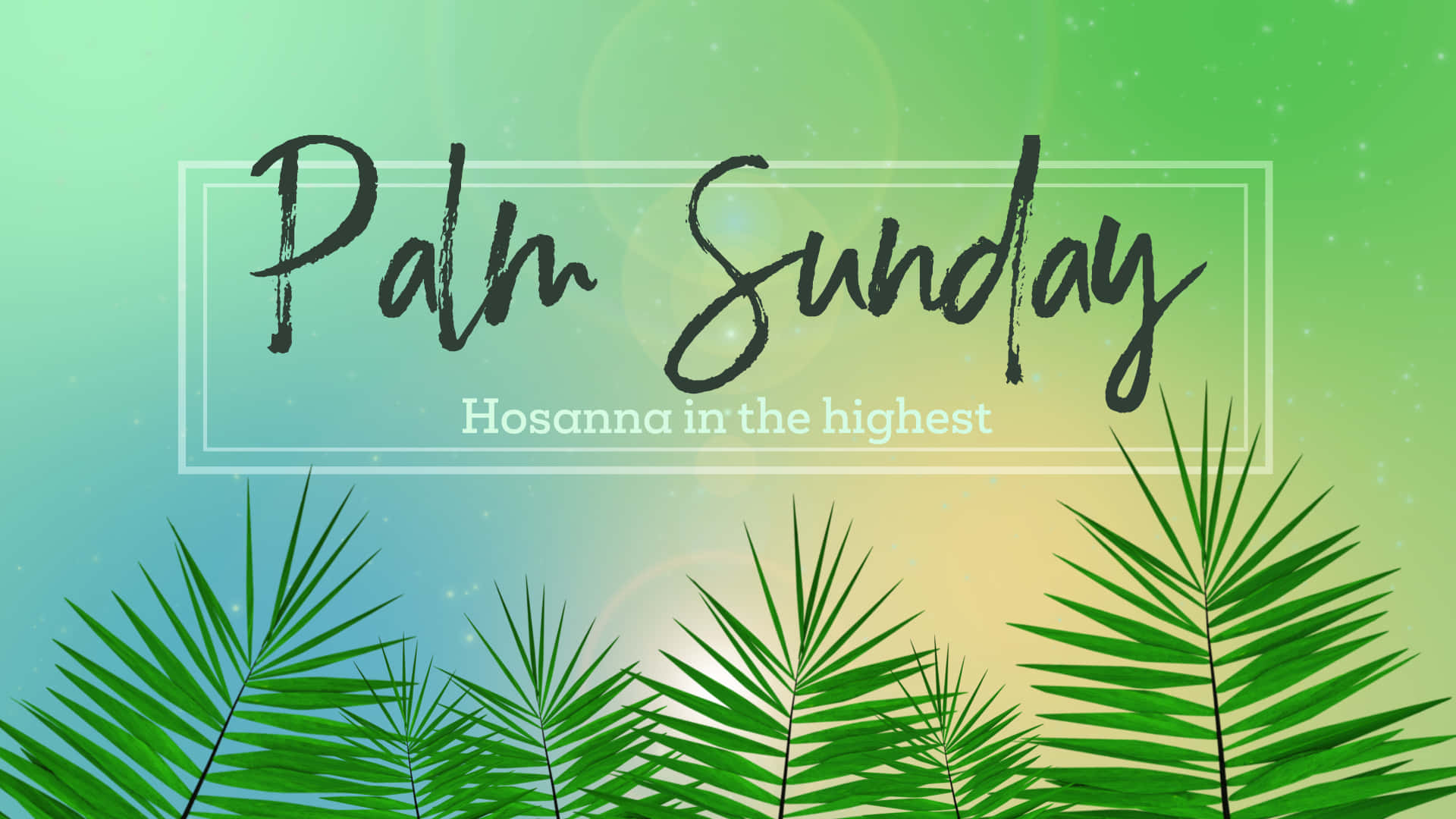 Hosanna En Yüksekte Palm Pazarı Metin Arkaplanı Duvar Kağıdı