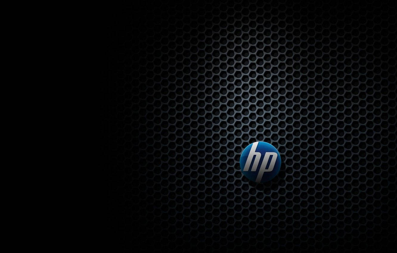 HP Marka Logosu Duvar Kağıdı