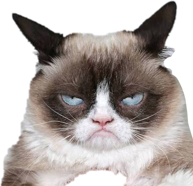 Huysuz Kedi İfadesi.PNG Duvar Kağıdı