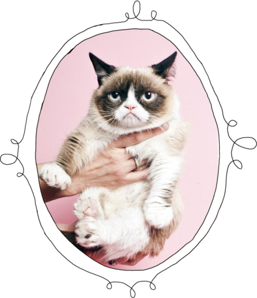 Huysuz Kedi Portresi Duvar Kağıdı