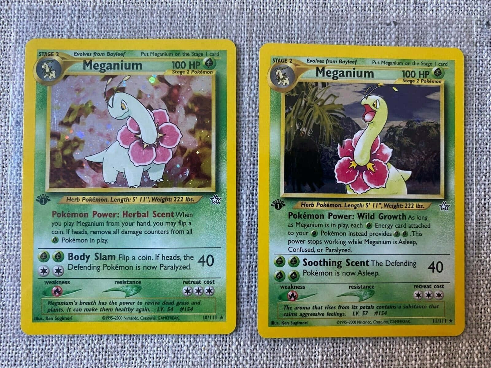 İki Meganium Pokemon Ticaret Kartı Duvar Kağıdı