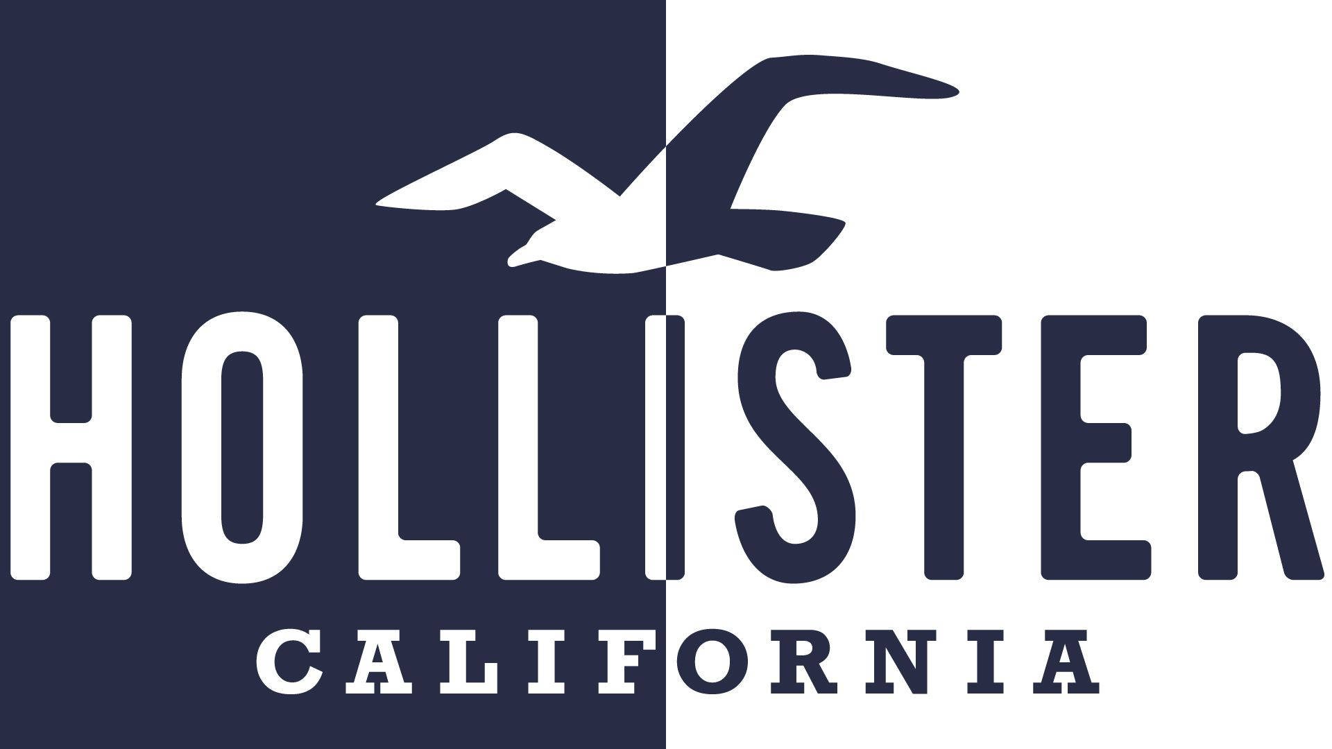 İki Tonlu Hollister Logosu Duvar Kağıdı