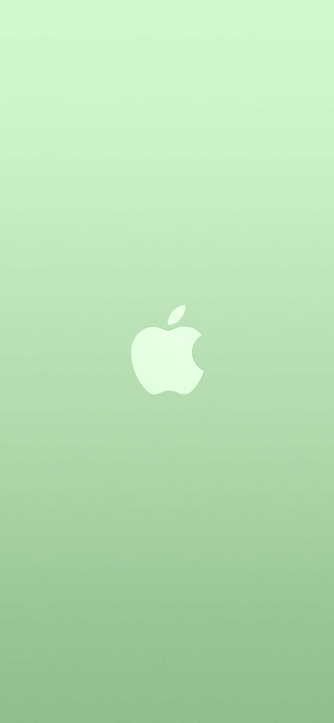 iPhone 11 Apple Logosu Yeşil Arkaplan Duvar Kağıdı