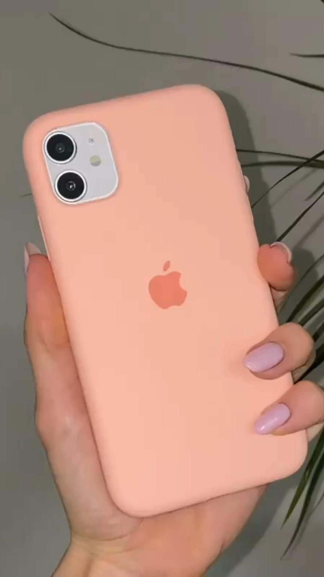 iPhone 12 fotoğrafları Duvar Kağıdı