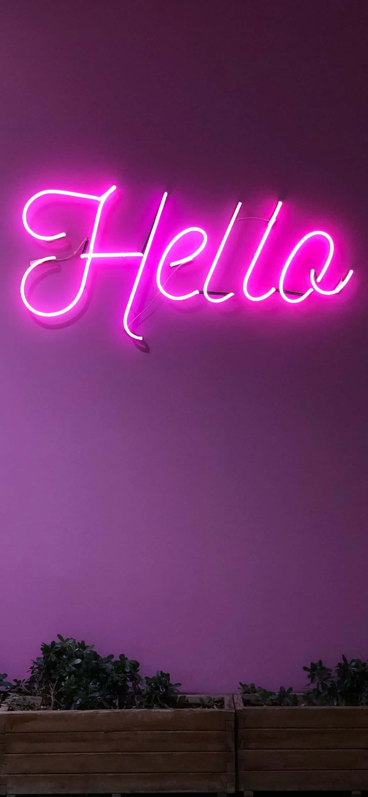 iPhone Lavanta Estetik Neon Pembe Duvar Kağıdı
