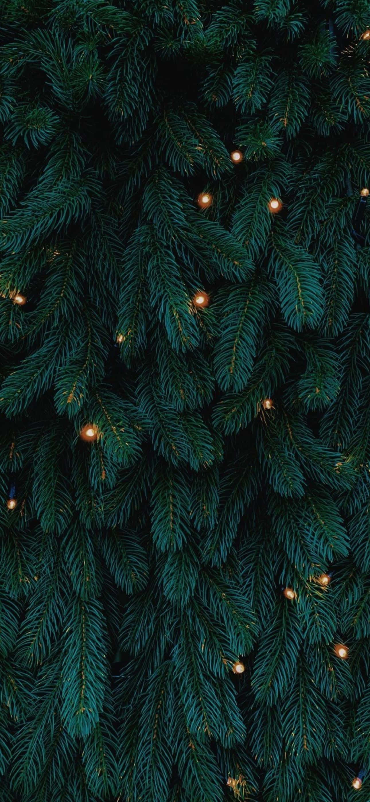 iPhone'unuzu bu Noel'de şenlikli hale getirin! Duvar Kağıdı