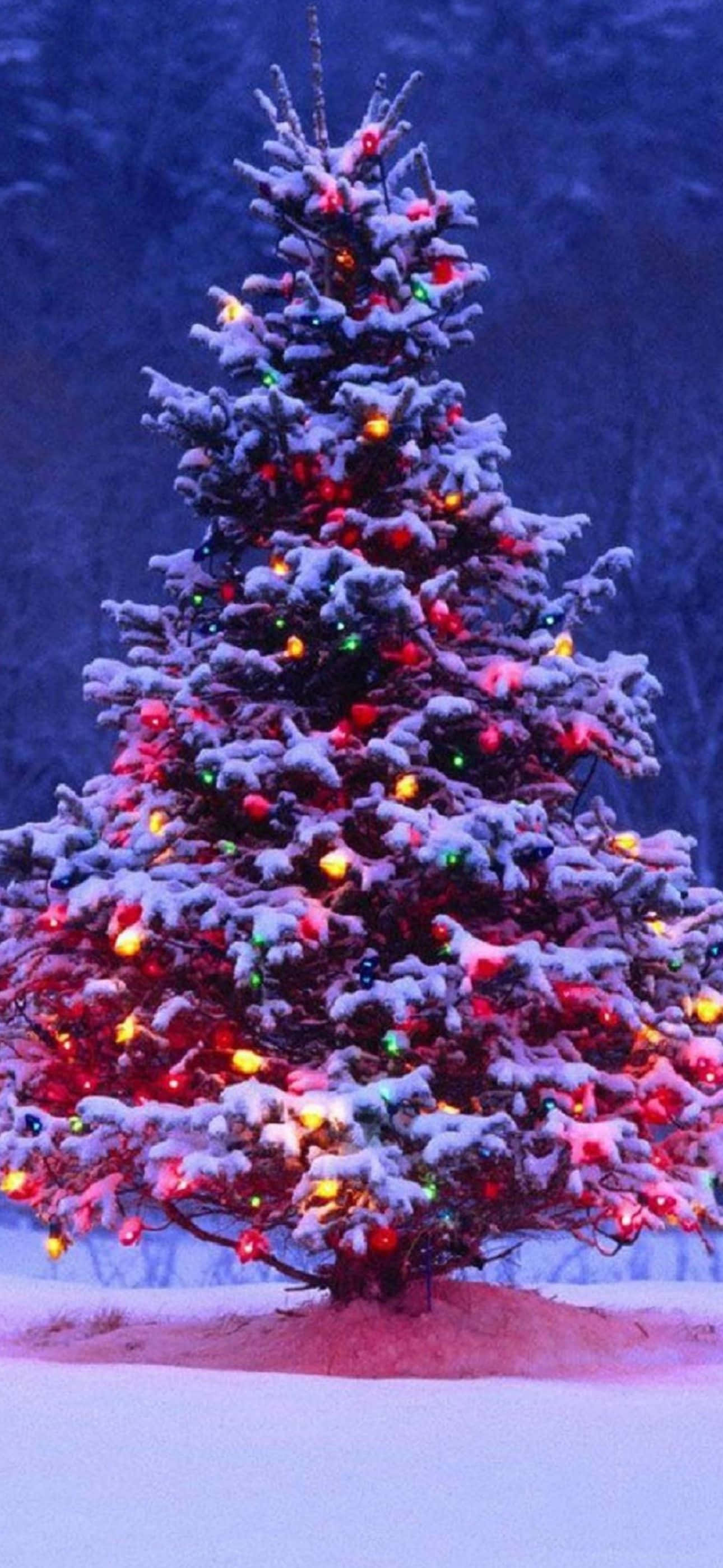 iPhone'unuzu Şık Bir Noel Duvar Kağıdıyla Süsleyin Duvar Kağıdı