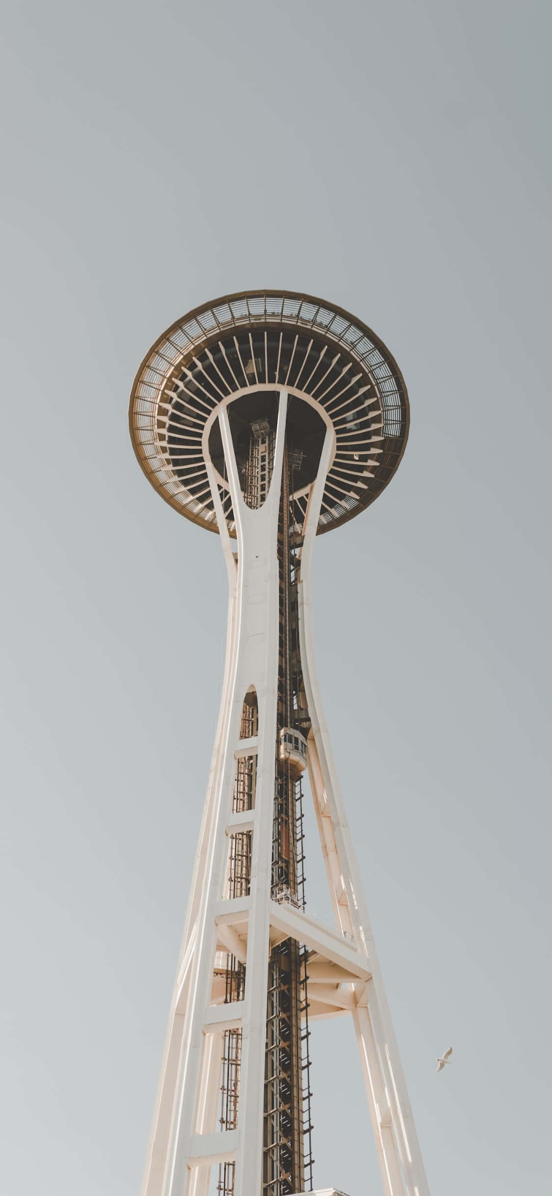 iPhone X ile Seattle silüetinin keyfini çıkarın Duvar Kağıdı