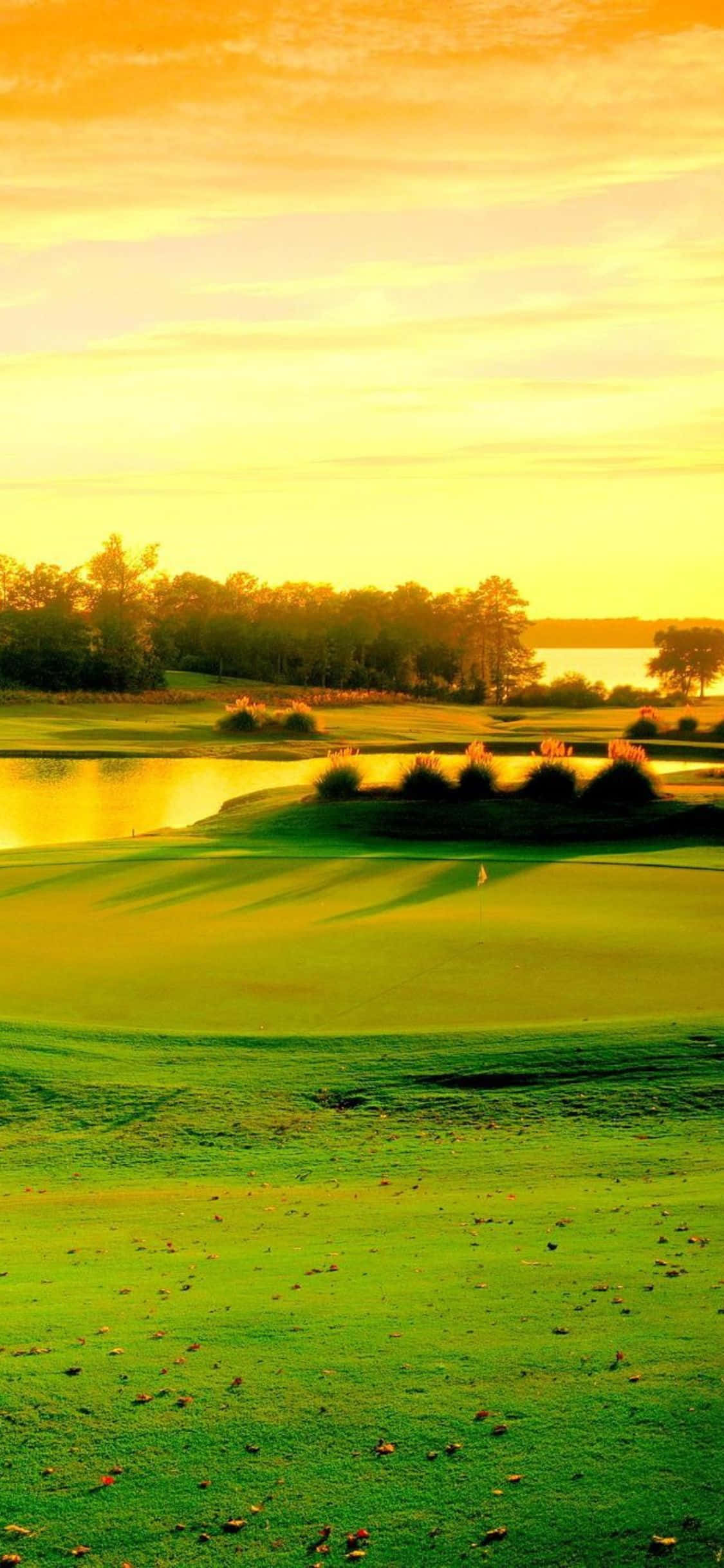 iPhone X'inizde bu pastoral golf sahasında bir tur golfün keyfini çıkarın Duvar Kağıdı