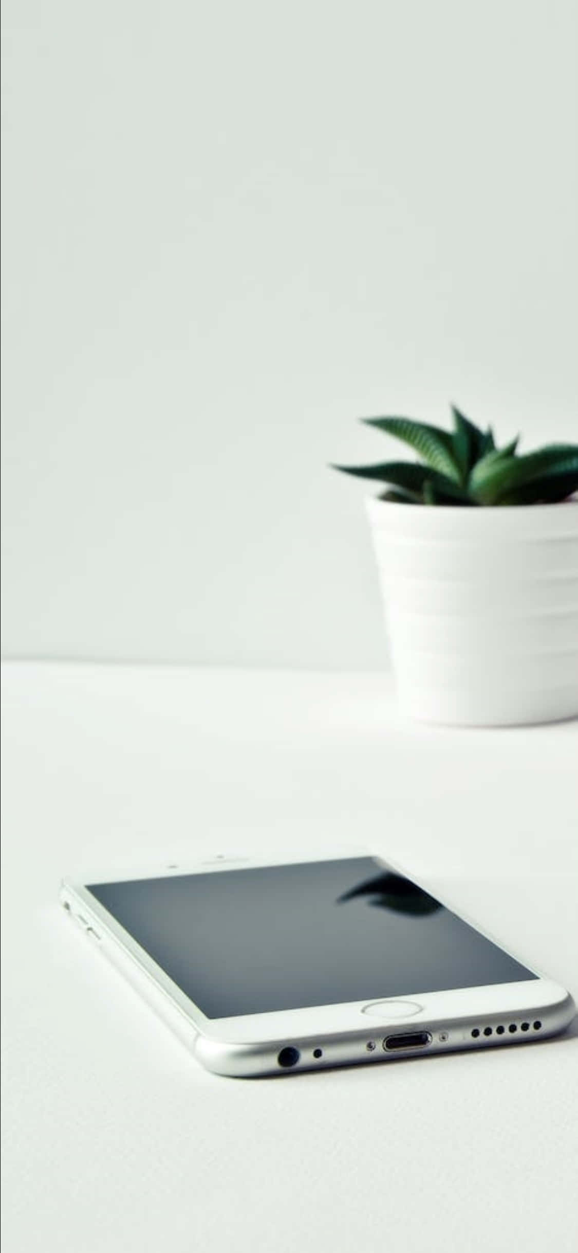 iPhone X Masa Arka Planı Beyaz Telefon ve Bir Bitki Duvar Kağıdı