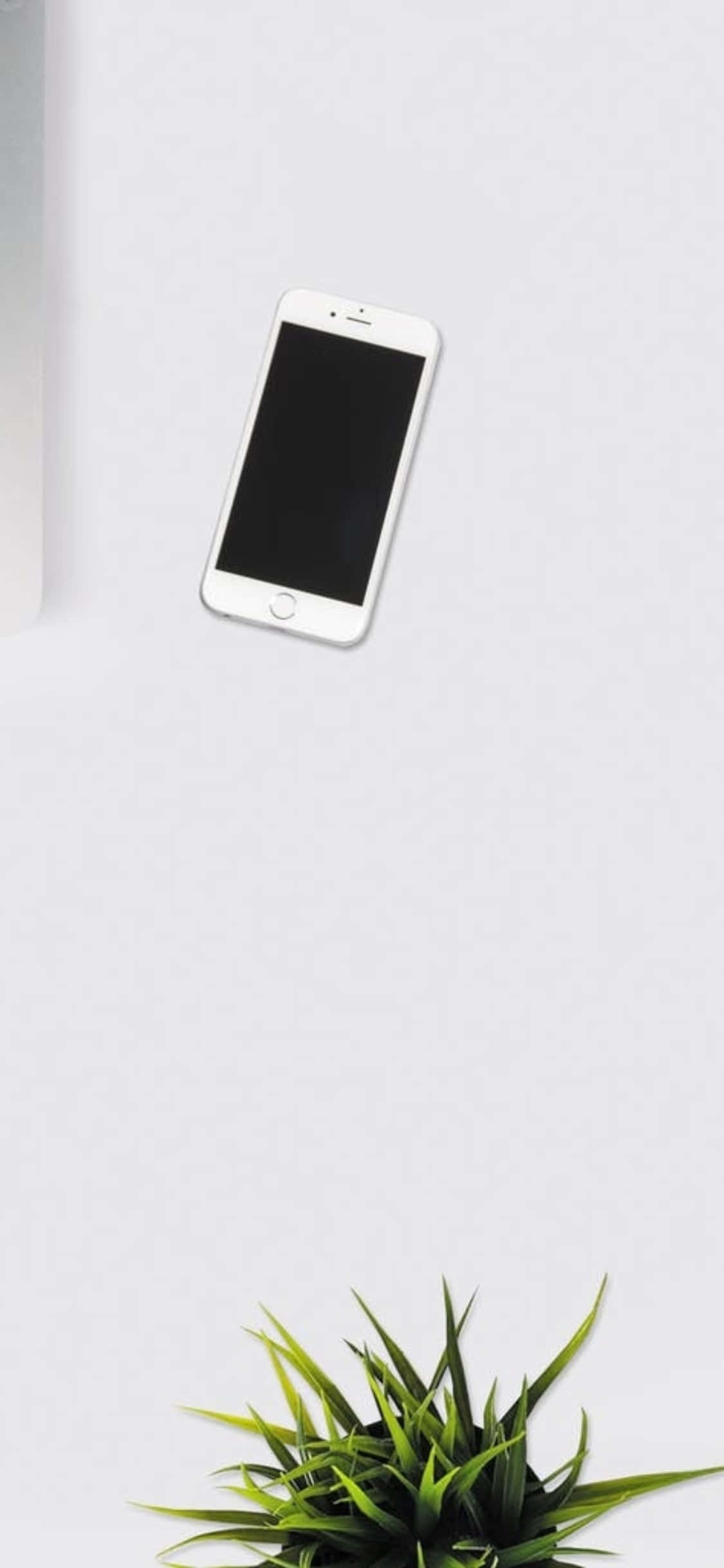 iPhone X Masa Arka Planı İç Mekan Bitkili Beyaz Telefon Duvar Kağıdı