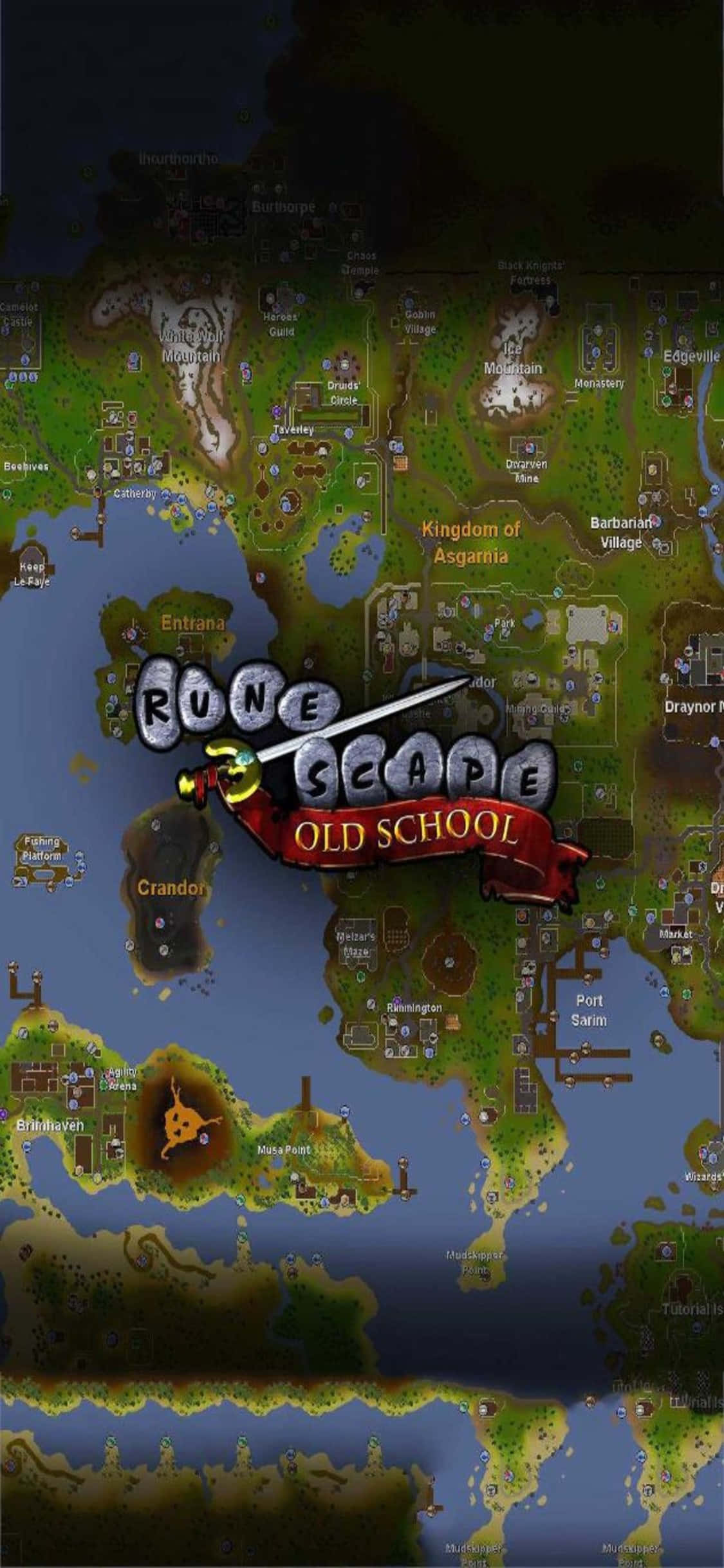 iPhone X Runescape Oldschool İçin Döşeme Haritası Arkaplan Duvar Kağıdı