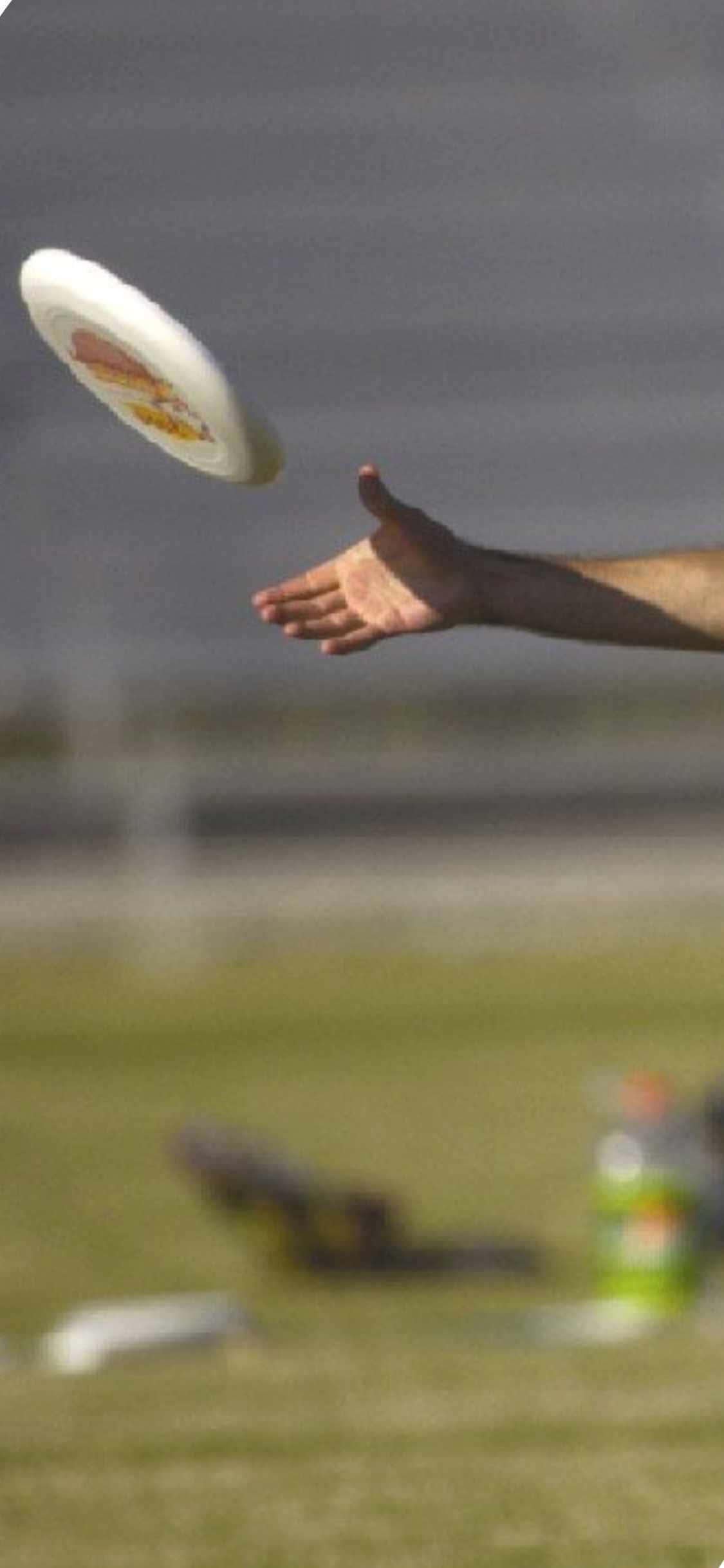 iPhone X Ultimate Frisbee Arka Planı El ile Yakalama Duvar Kağıdı