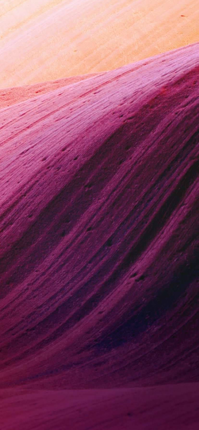 iPhone XR Bej Mor Kıvrımlar Duvar Kağıdı