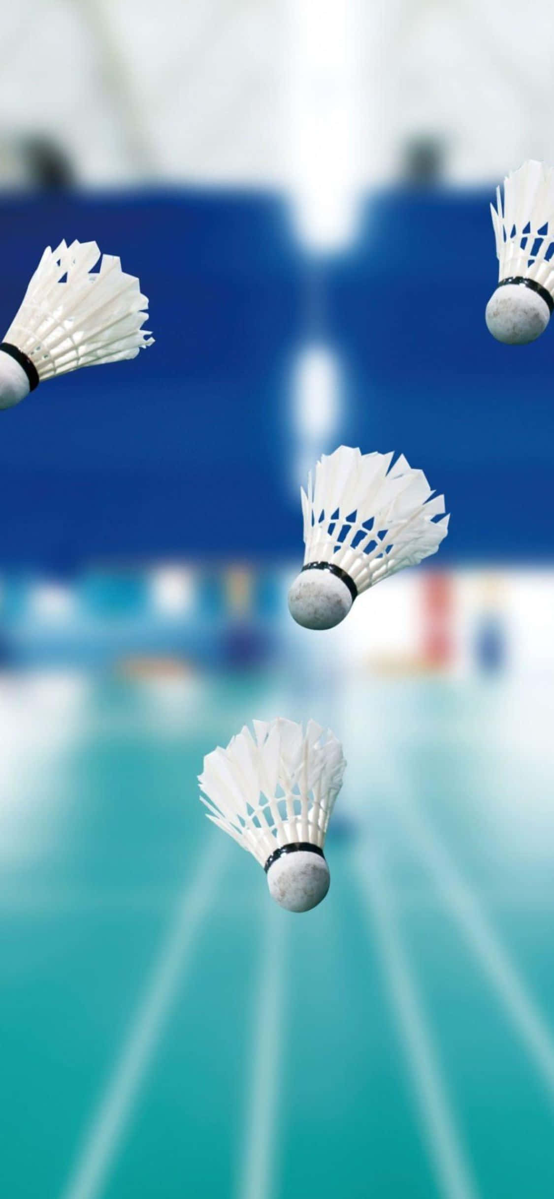 iPhone Xs Badminton Arkaplan Duvar Kağıdı
