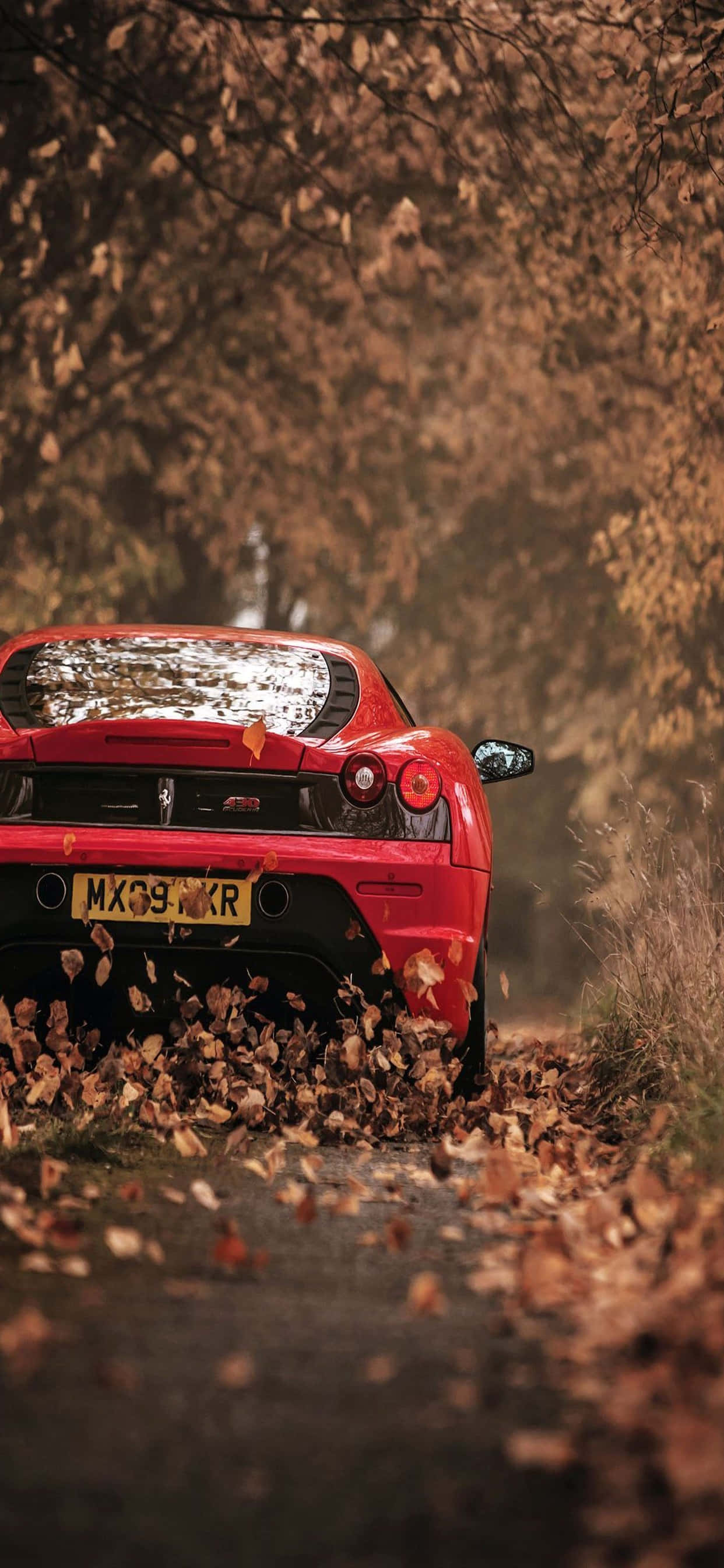 iPhone Xs Max Ferrari Duvar Kağıdı Kırmızı Ferrari F430 Kuru Yapraklar Duvar Kağıdı