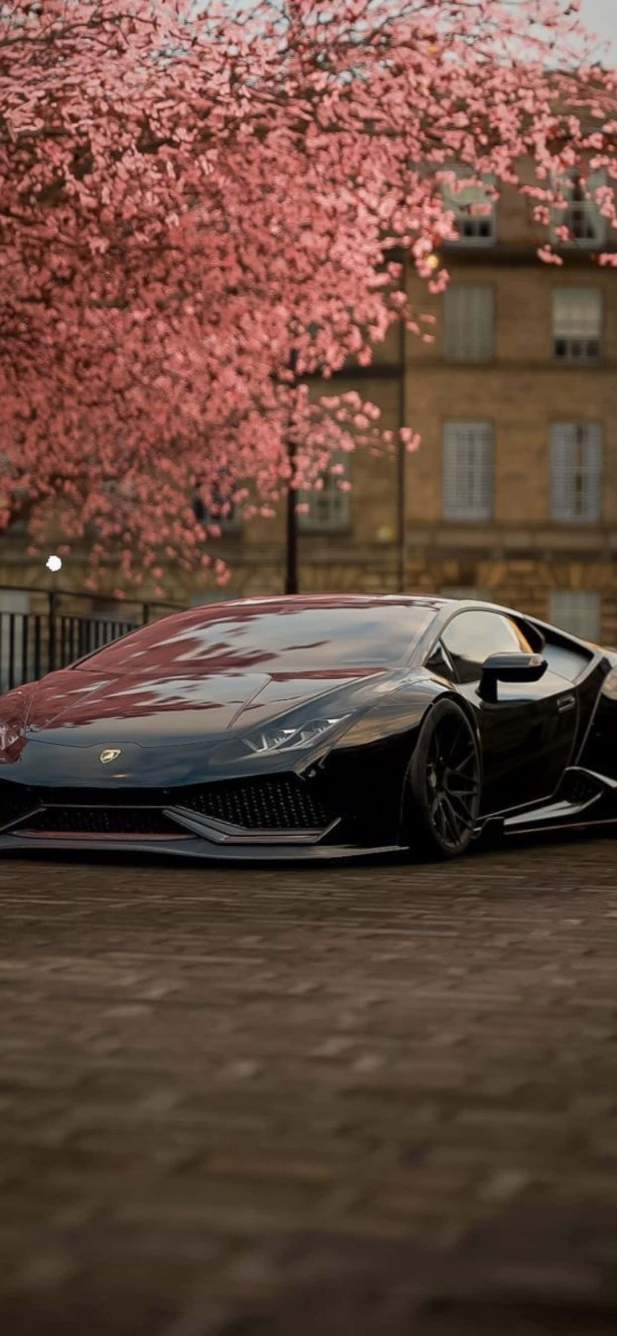 iPhone XS Max Lamborghini Kiraz Çiçeği Arkaplanı Duvar Kağıdı