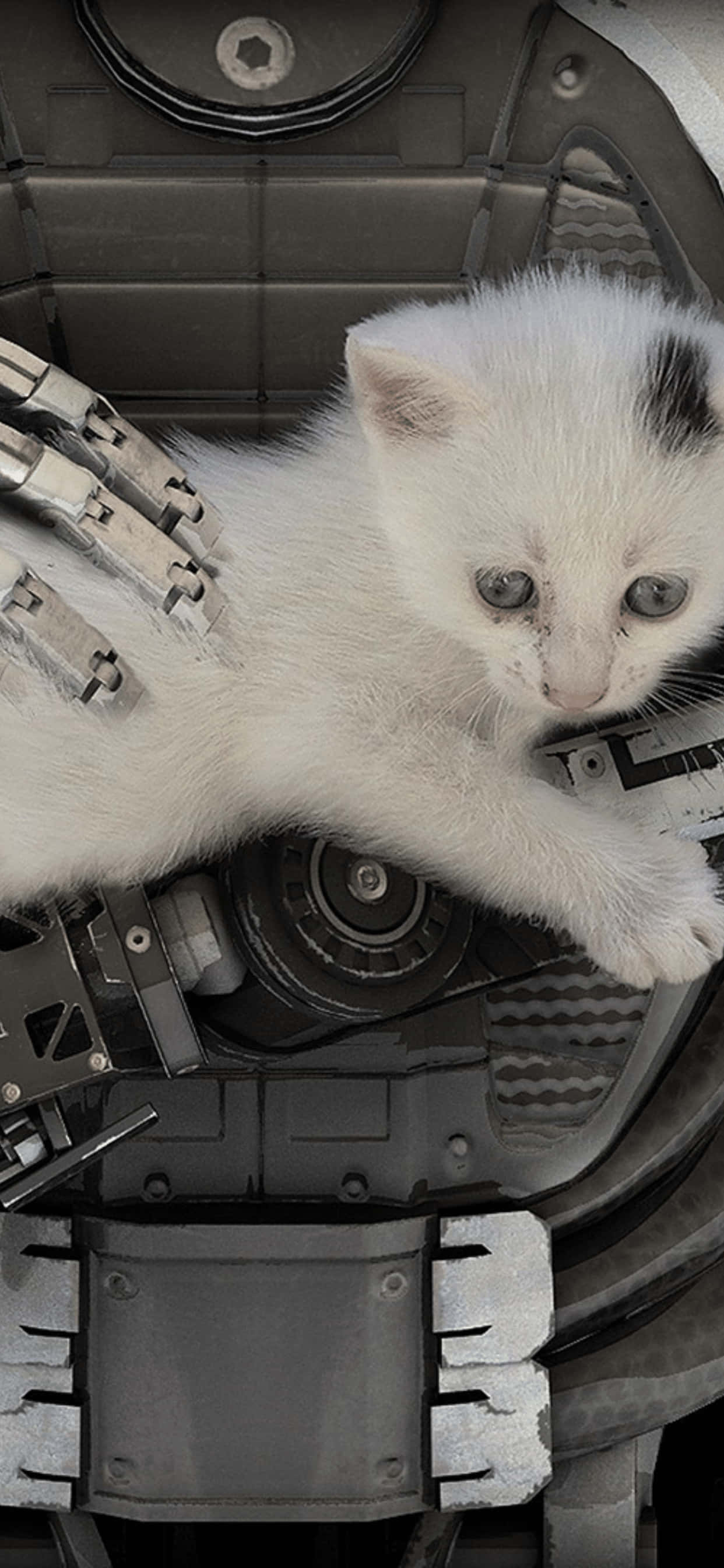 iPhone XS Max'te The Talos Principle'ın Görkemli Dünyası Duvar Kağıdı