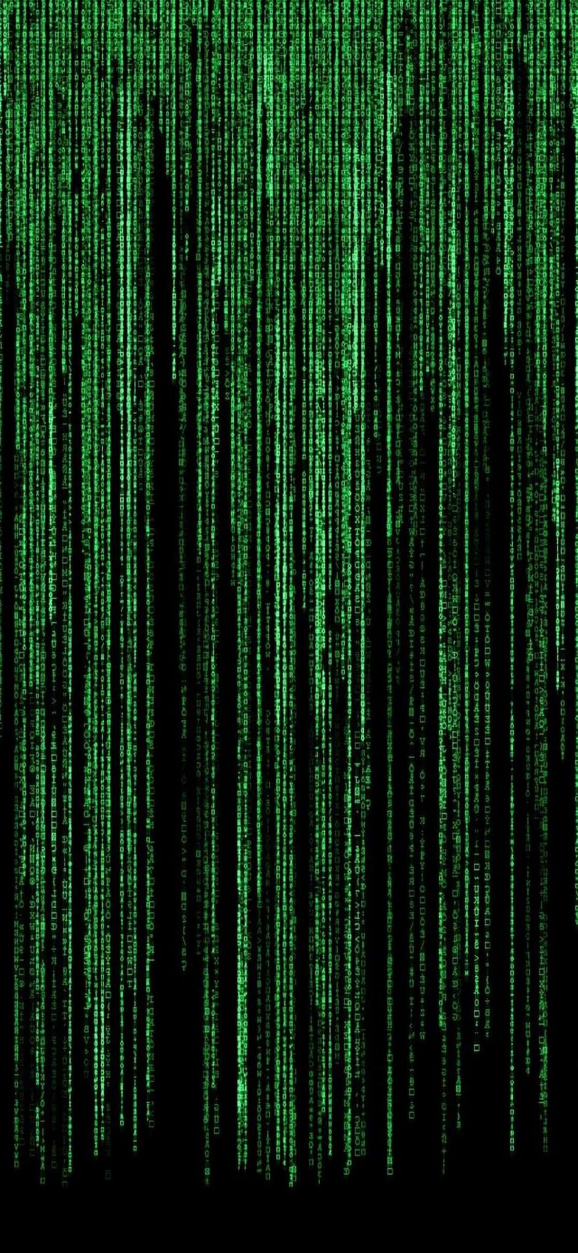 iPhone XS Programlama Arka Planı Yeşil Matrix Duvar Kağıdı