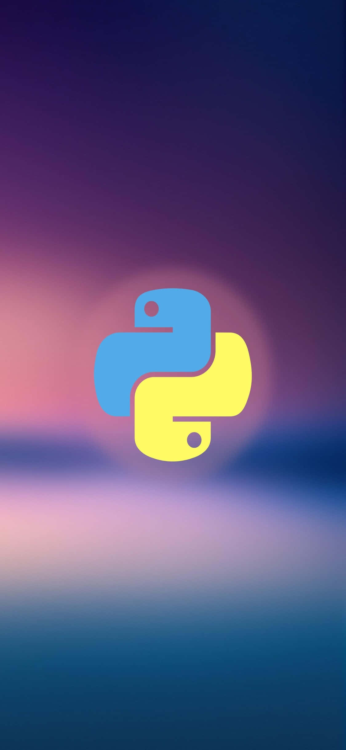 iPhone Xs Programlama Arka Planı Python Logosu Duvar Kağıdı