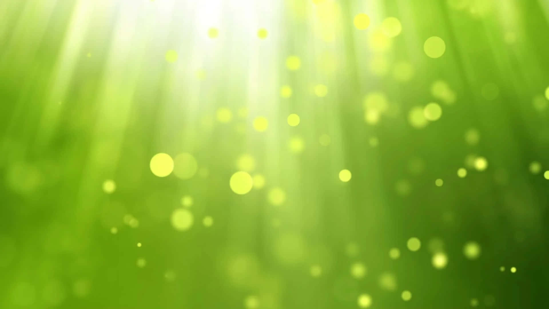 Işık Işınları ve Yeşil Arkaplanda Bokeh Duvar Kağıdı