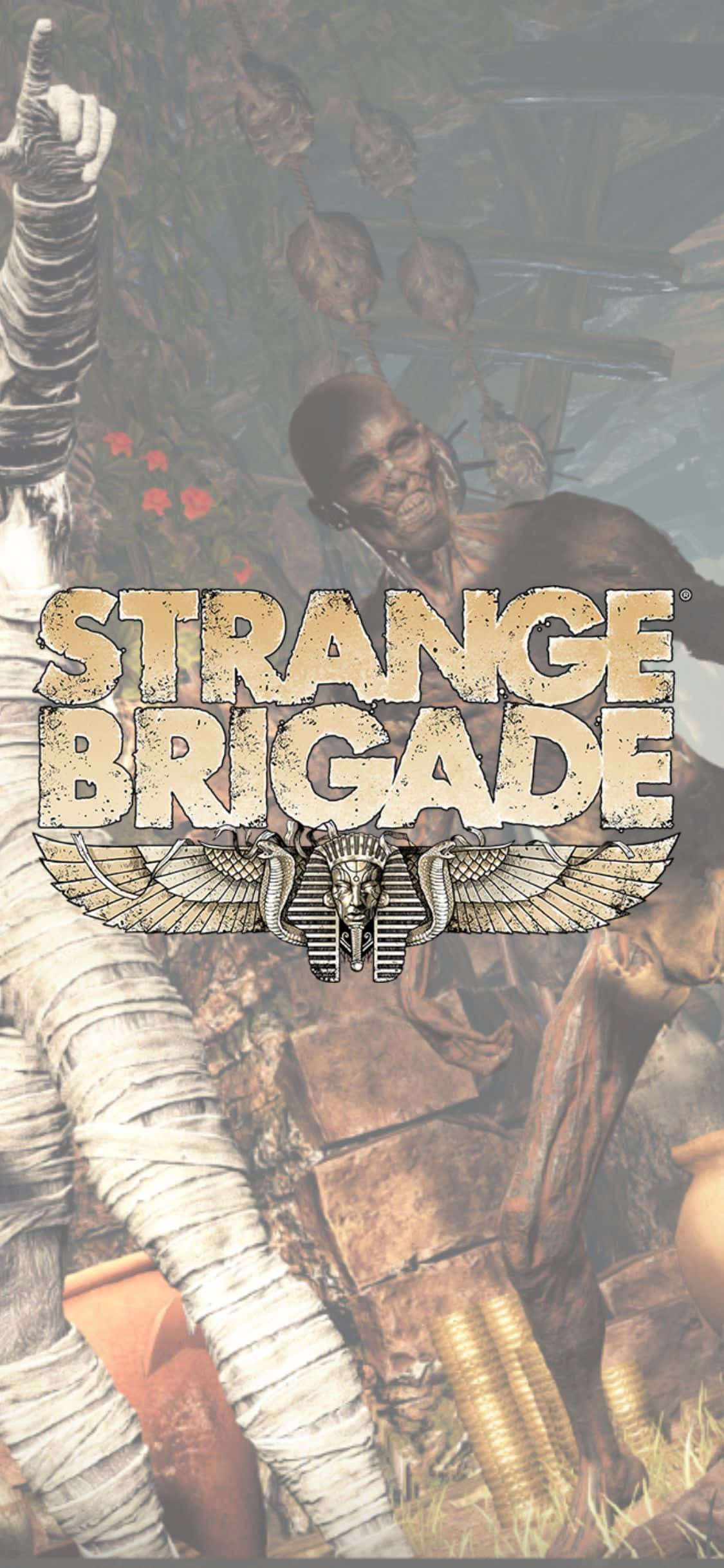İskelet ve Sarılı Zombiler iPhone X Strange Brigade Arkaplanı Duvar Kağıdı