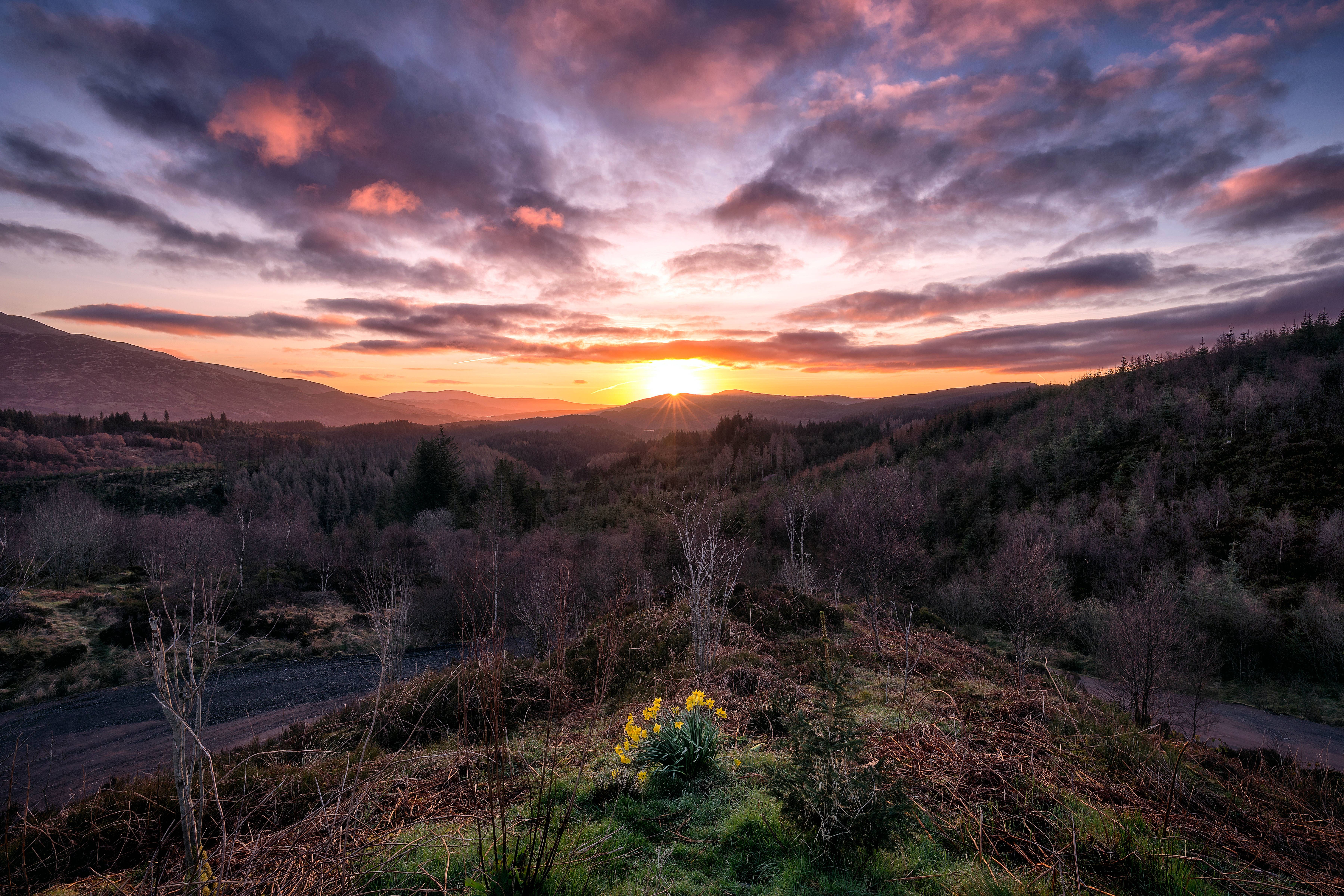 İskoçya'daki Trossachs Parkı'nın Büyüleyici Gün Doğumu Duvar Kağıdı