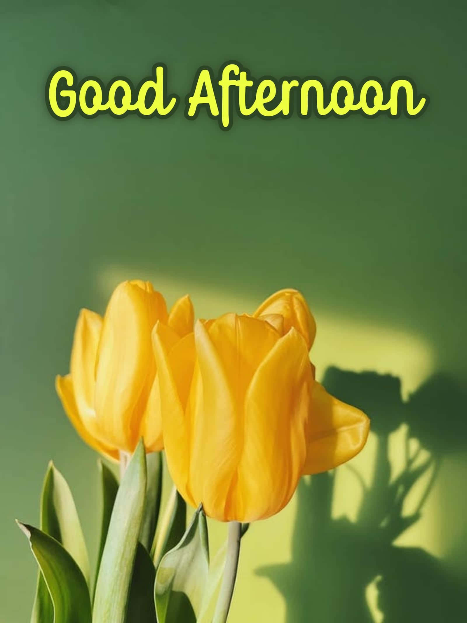 İyi Öğlenler Bahar Sarı Çiçekler Resmi Duvar Kağıdı
